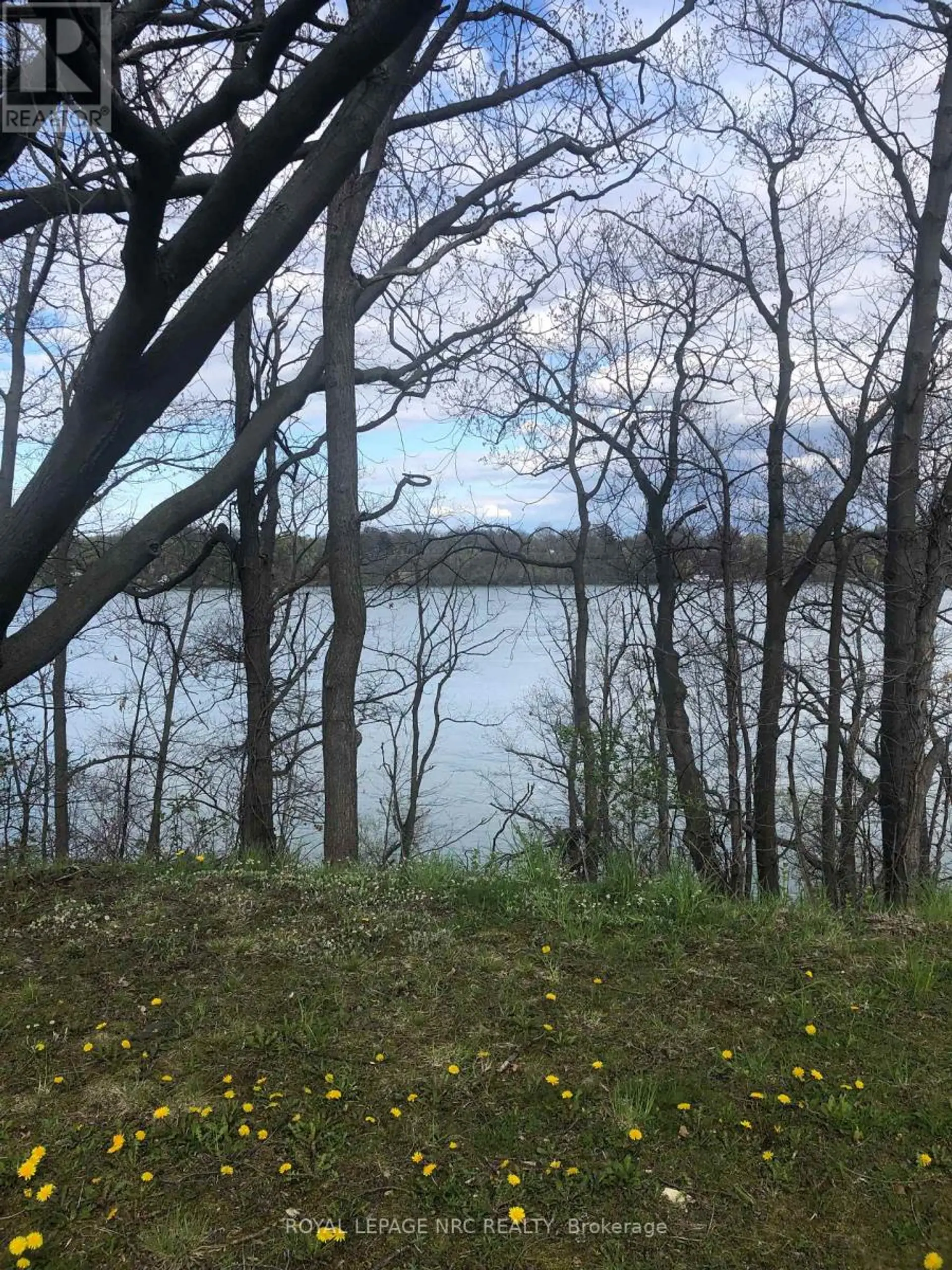 15756 NIAGARA PARKWAY - Image 16