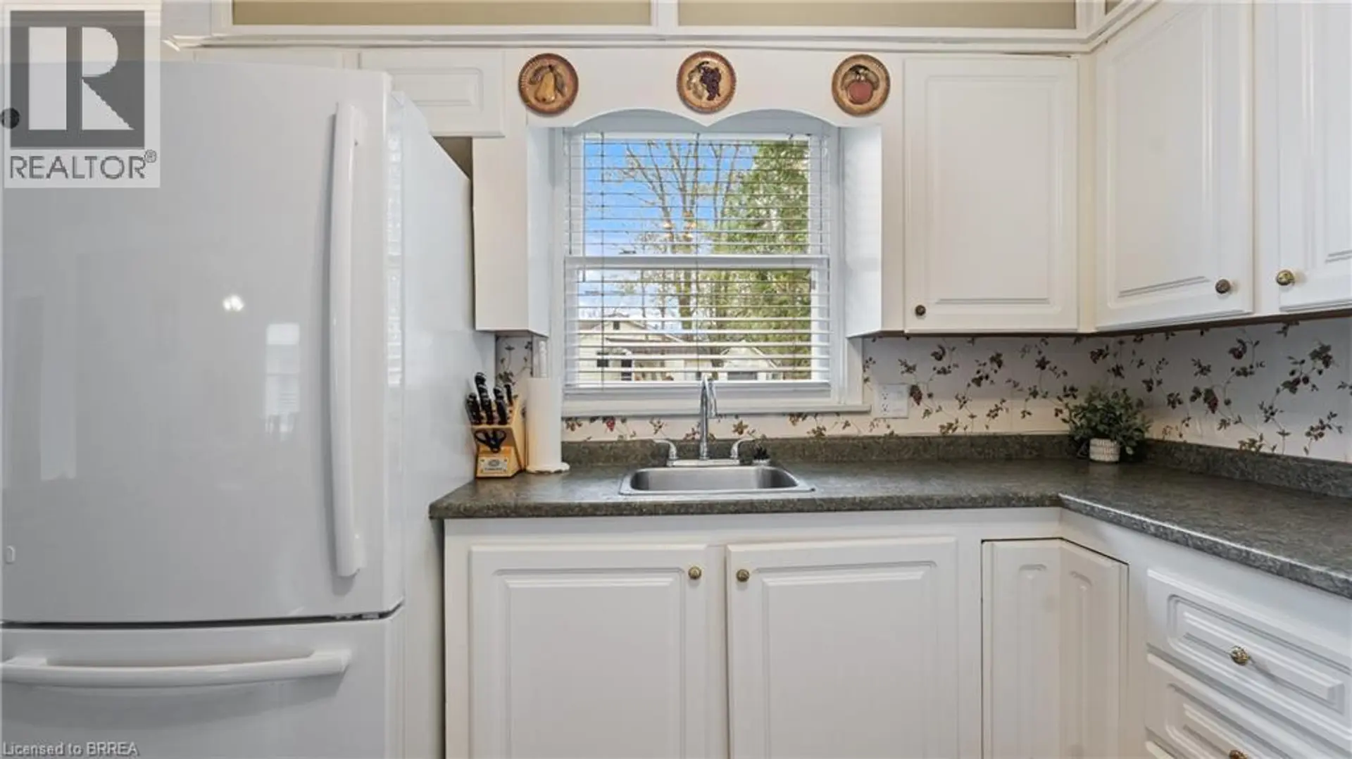 303 CEDAR Drive - Image 4