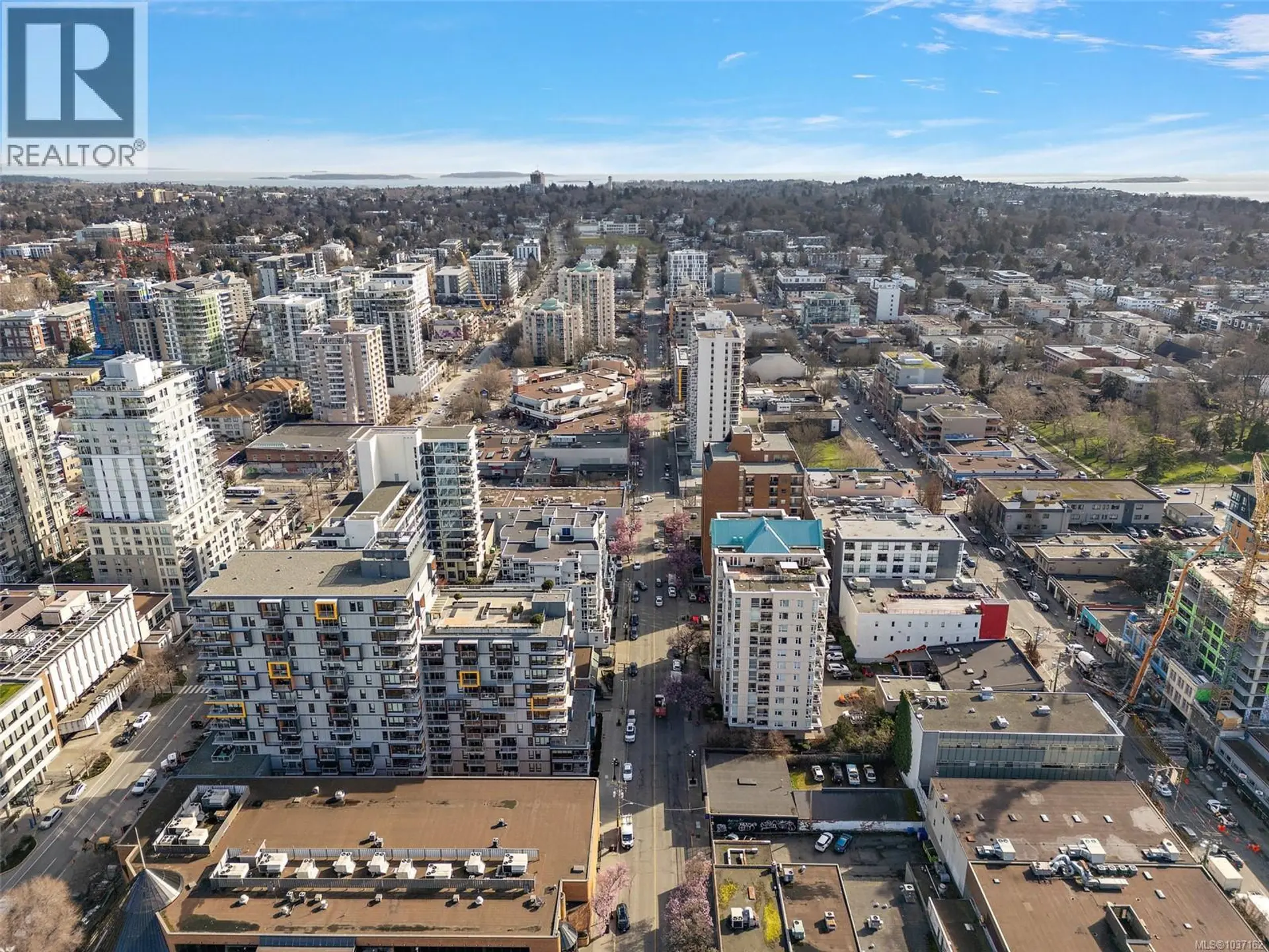 #1009 835 View St - Image 13