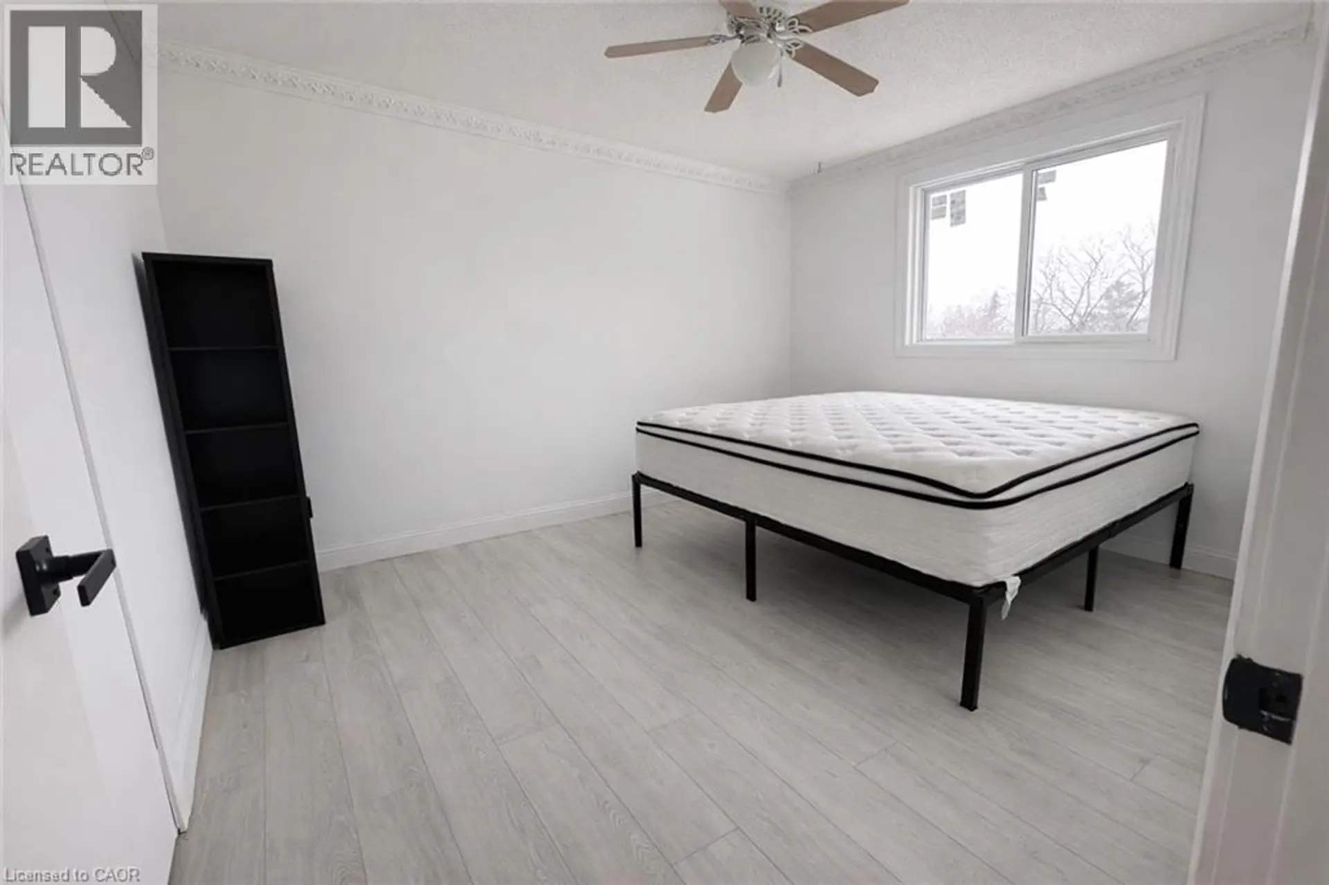 84 ELGAR Avenue - Image 5