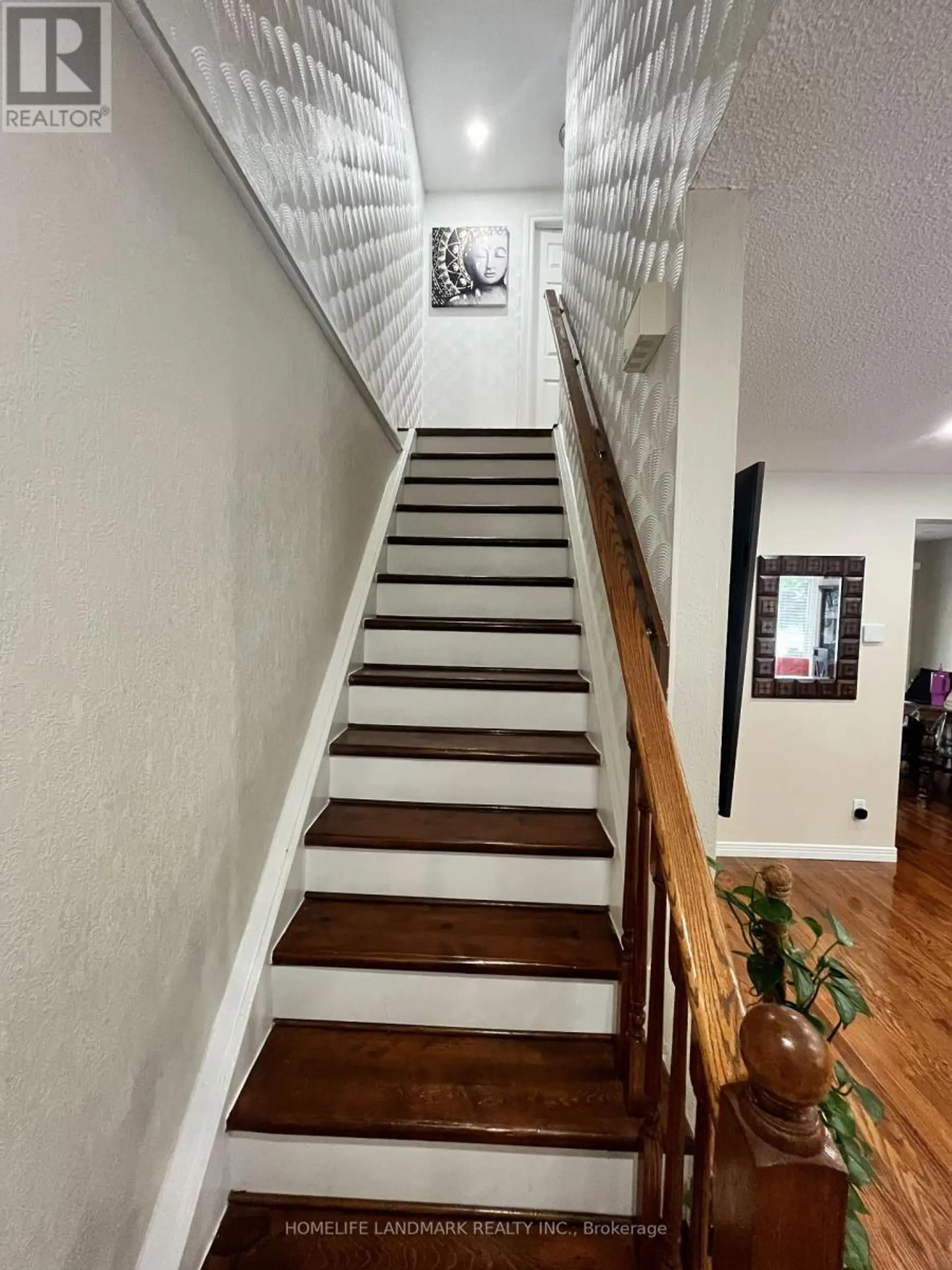 39 ELMA STREET - Image 4