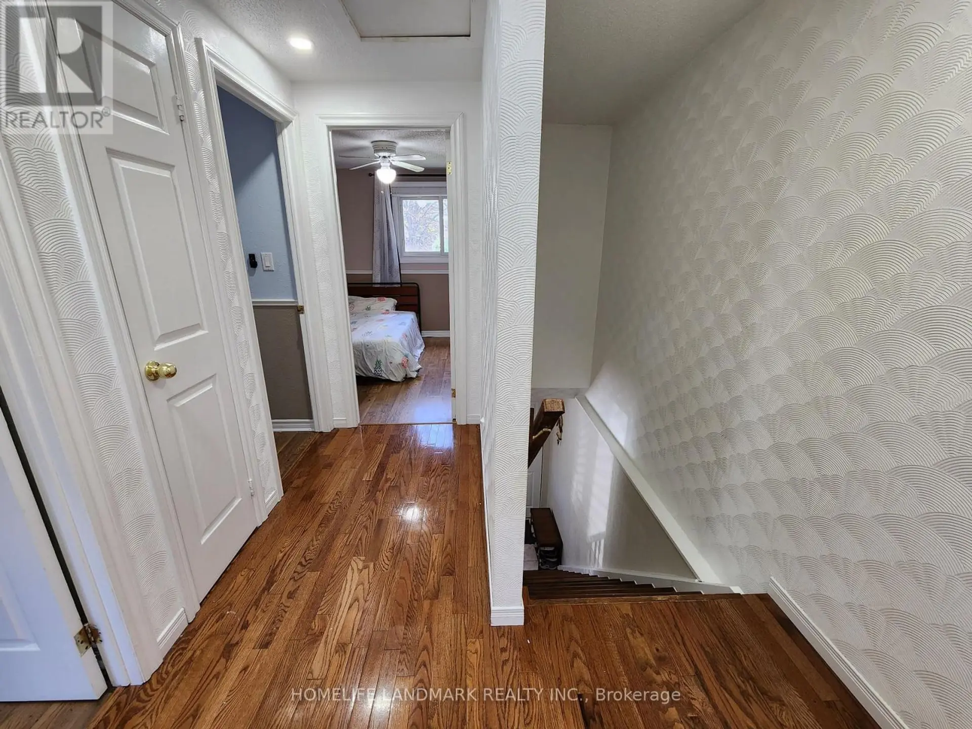 39 ELMA STREET - Image 5