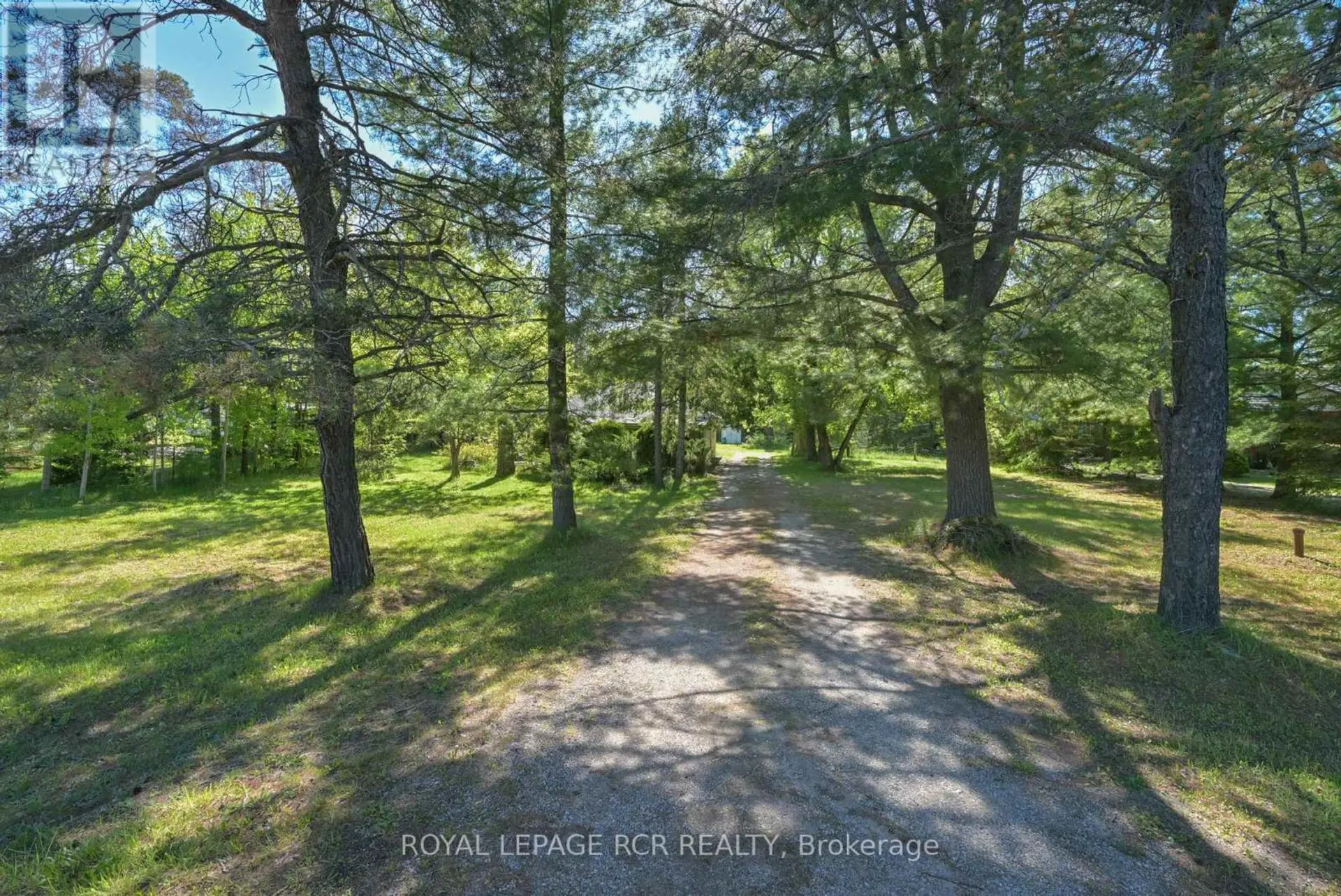 7262 COUNTY ROAD 13 - Image 14