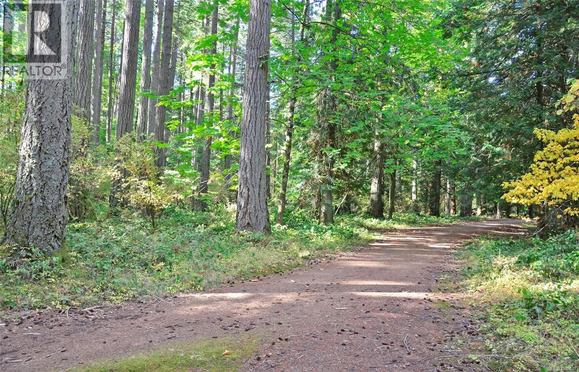 #301 350 Belmont Rd - Image 11