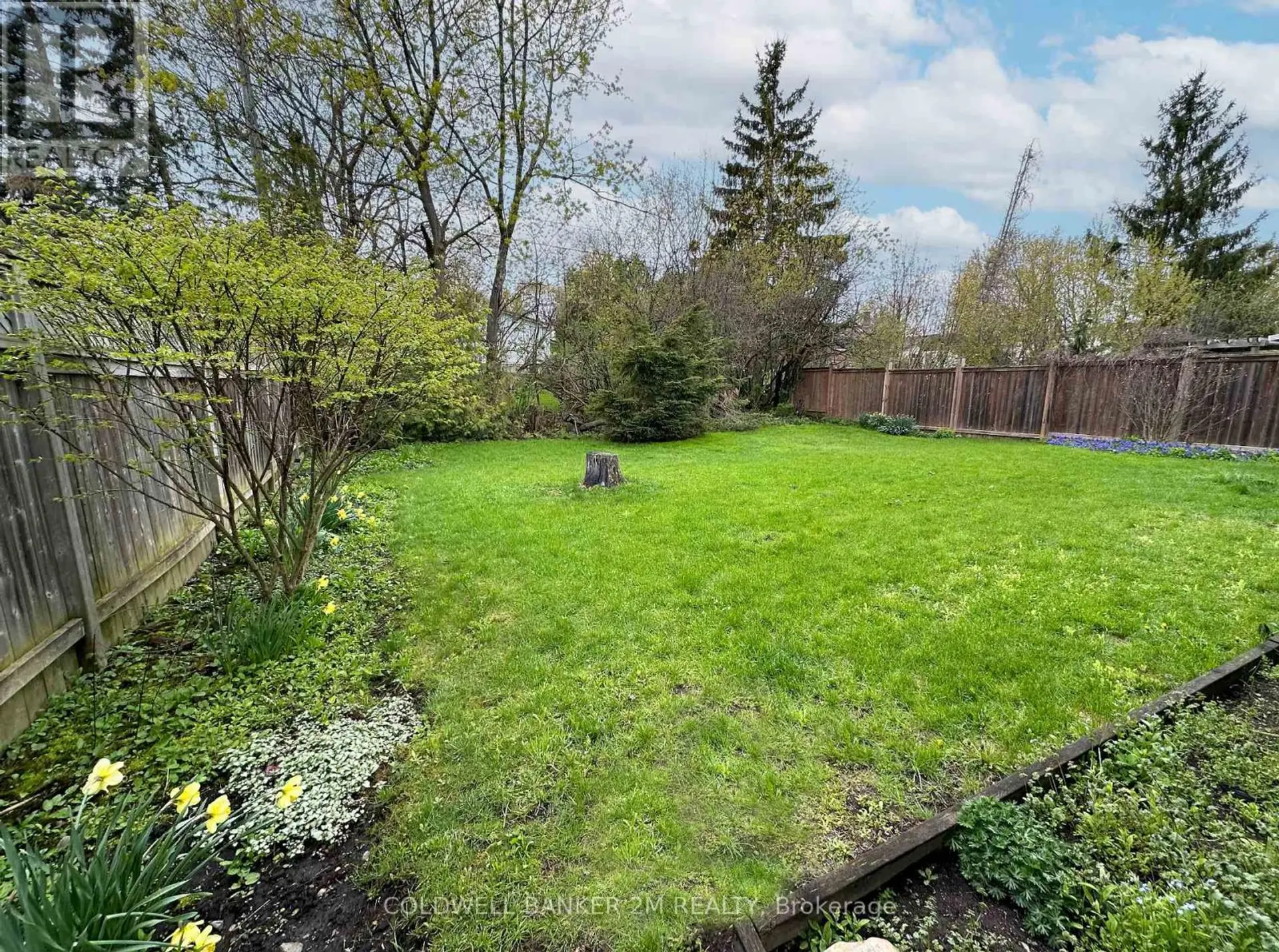 63 LORI BOULEVARD - Image 16
