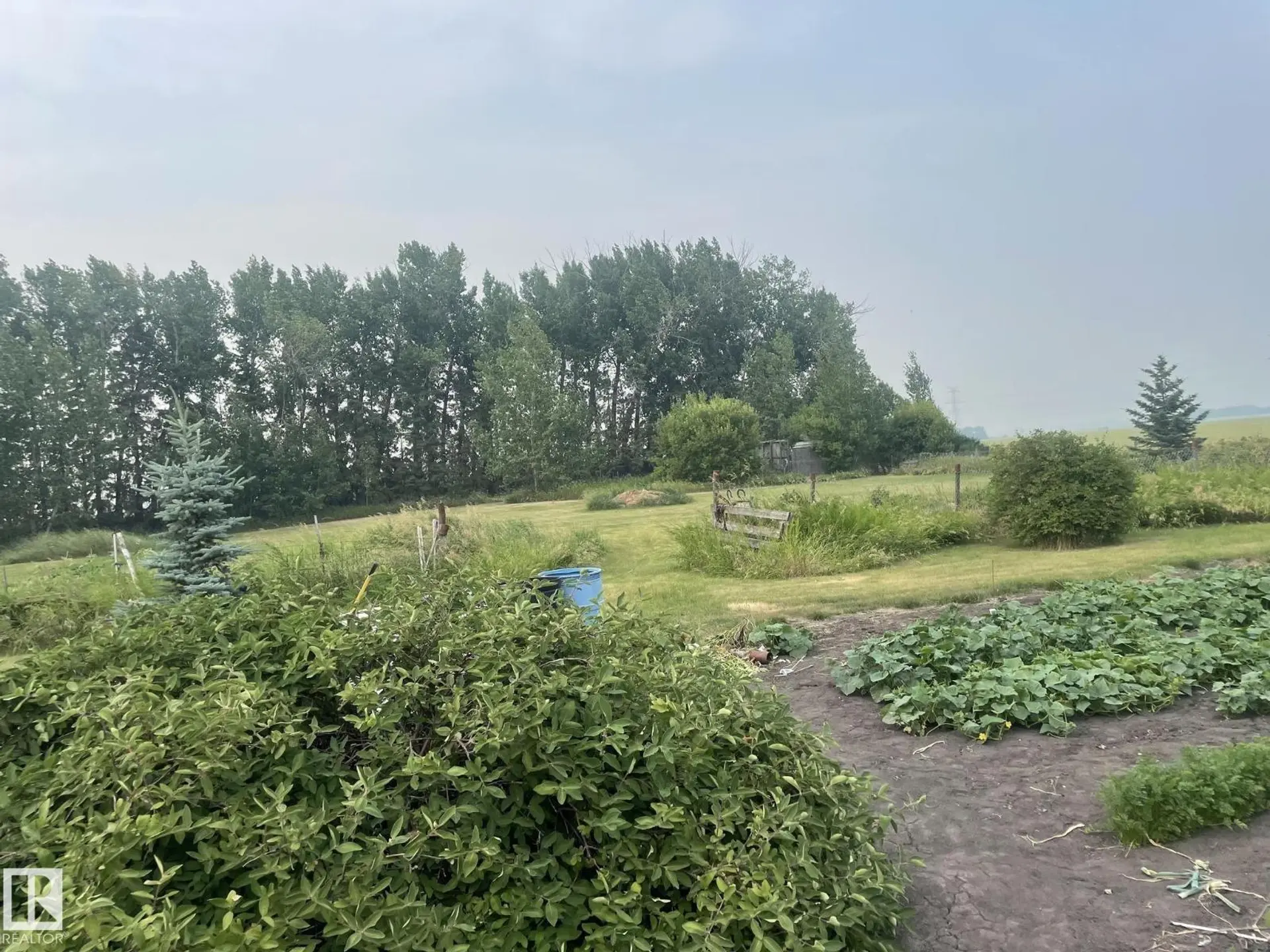55117 RR 233 - Image 3