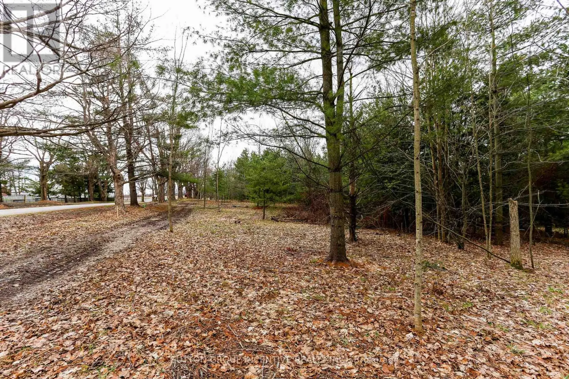 2774 OLD SECOND ROAD S - Image 10