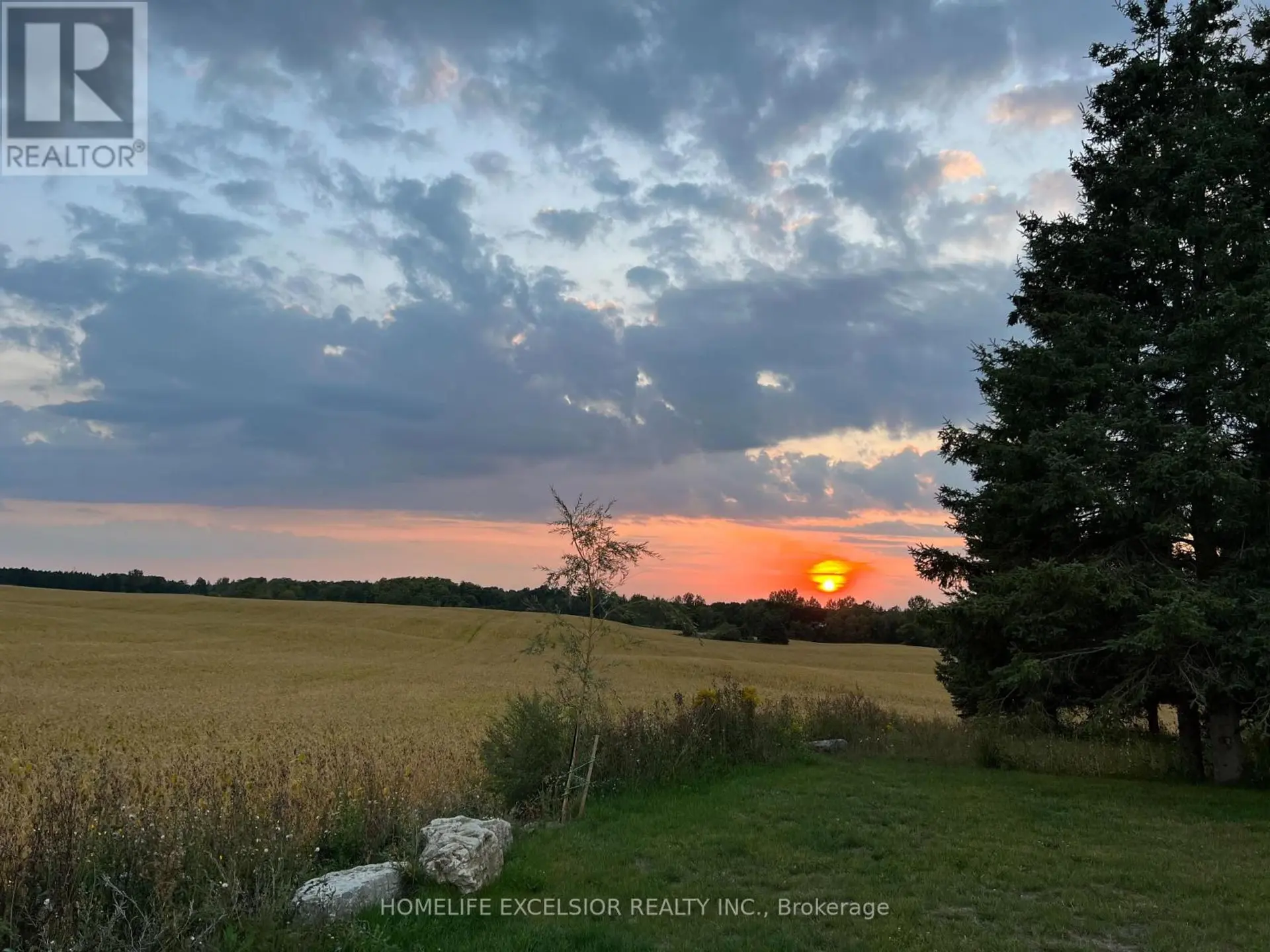 14428 MCCOWAN ROAD - Image 12