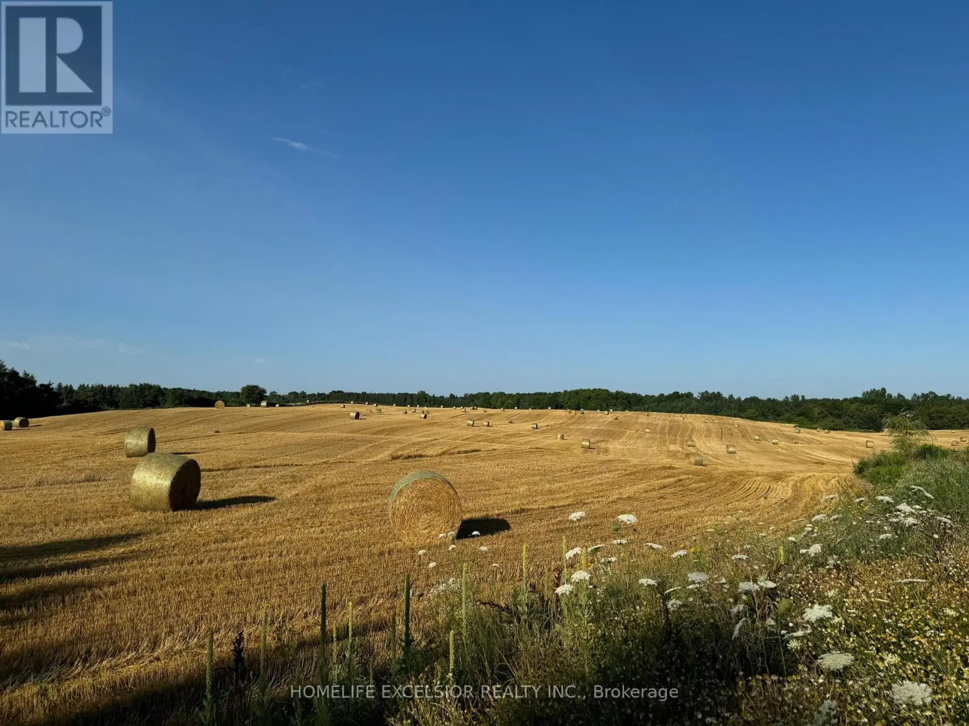 14428 MCCOWAN ROAD - Image 14