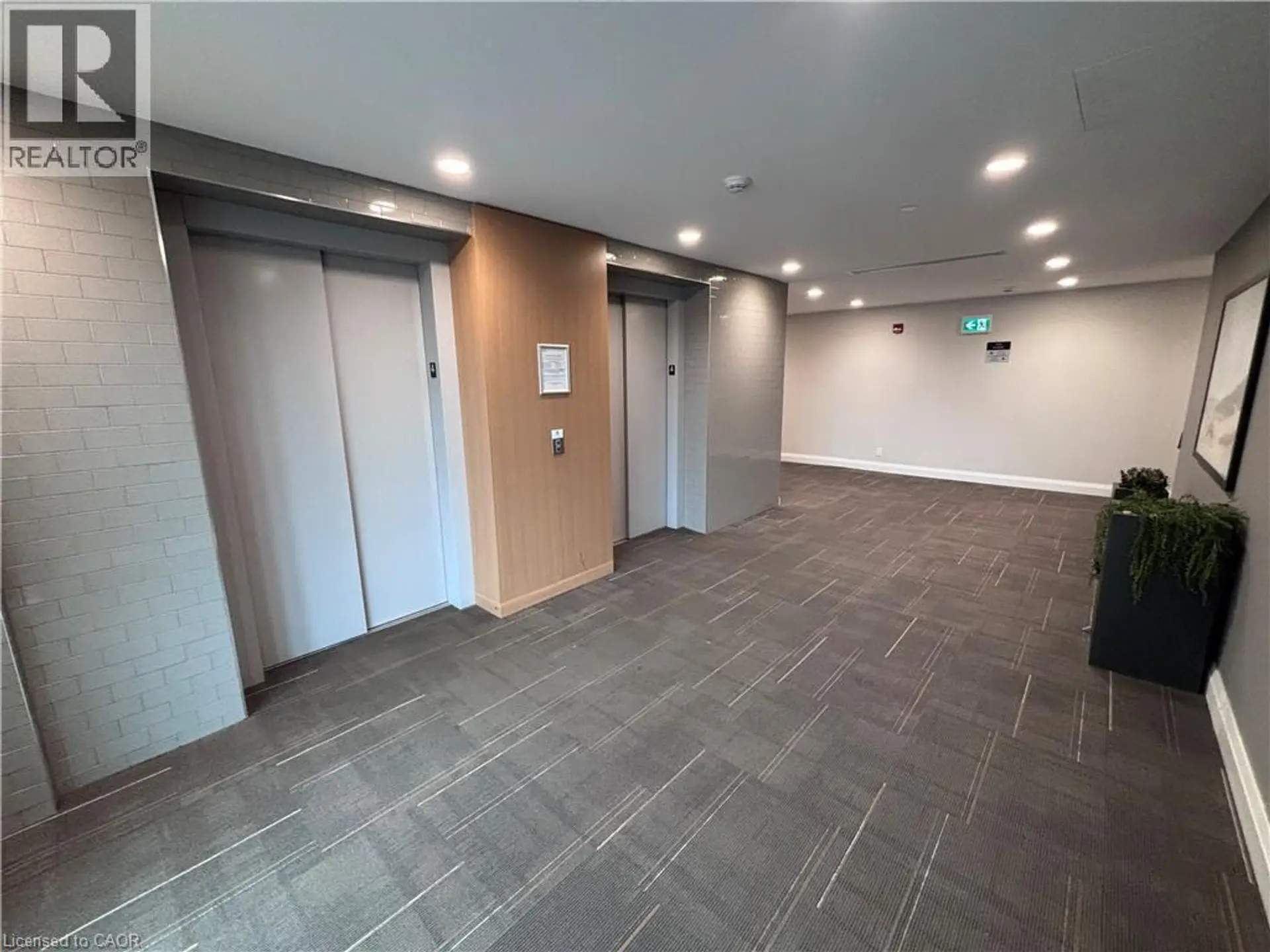 #417 128 GROVEWOOD Common - Image 2
