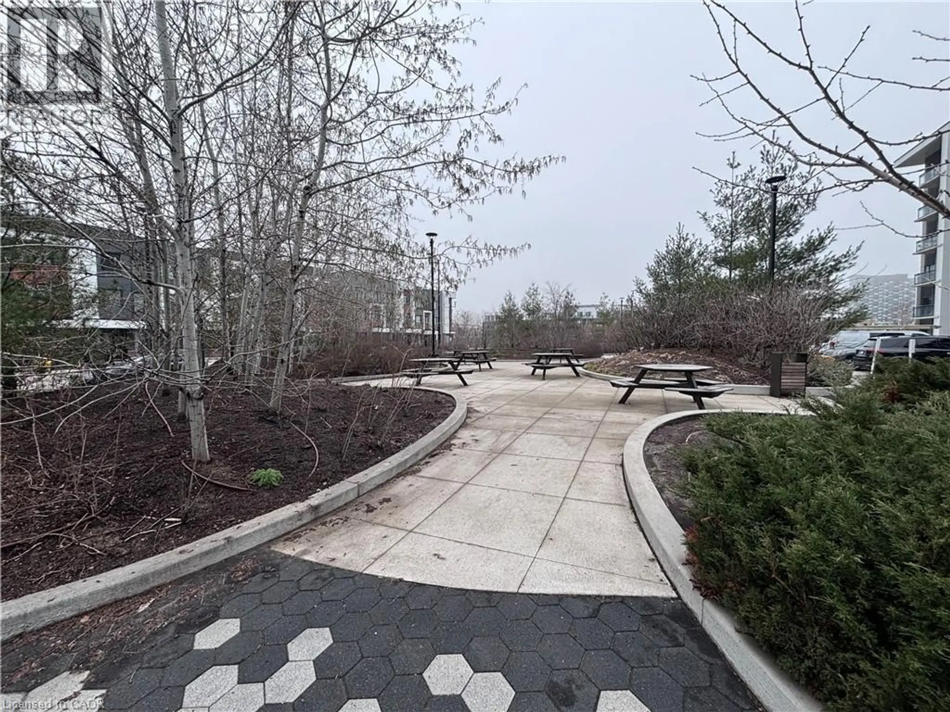 #417 128 GROVEWOOD Common - Image 20