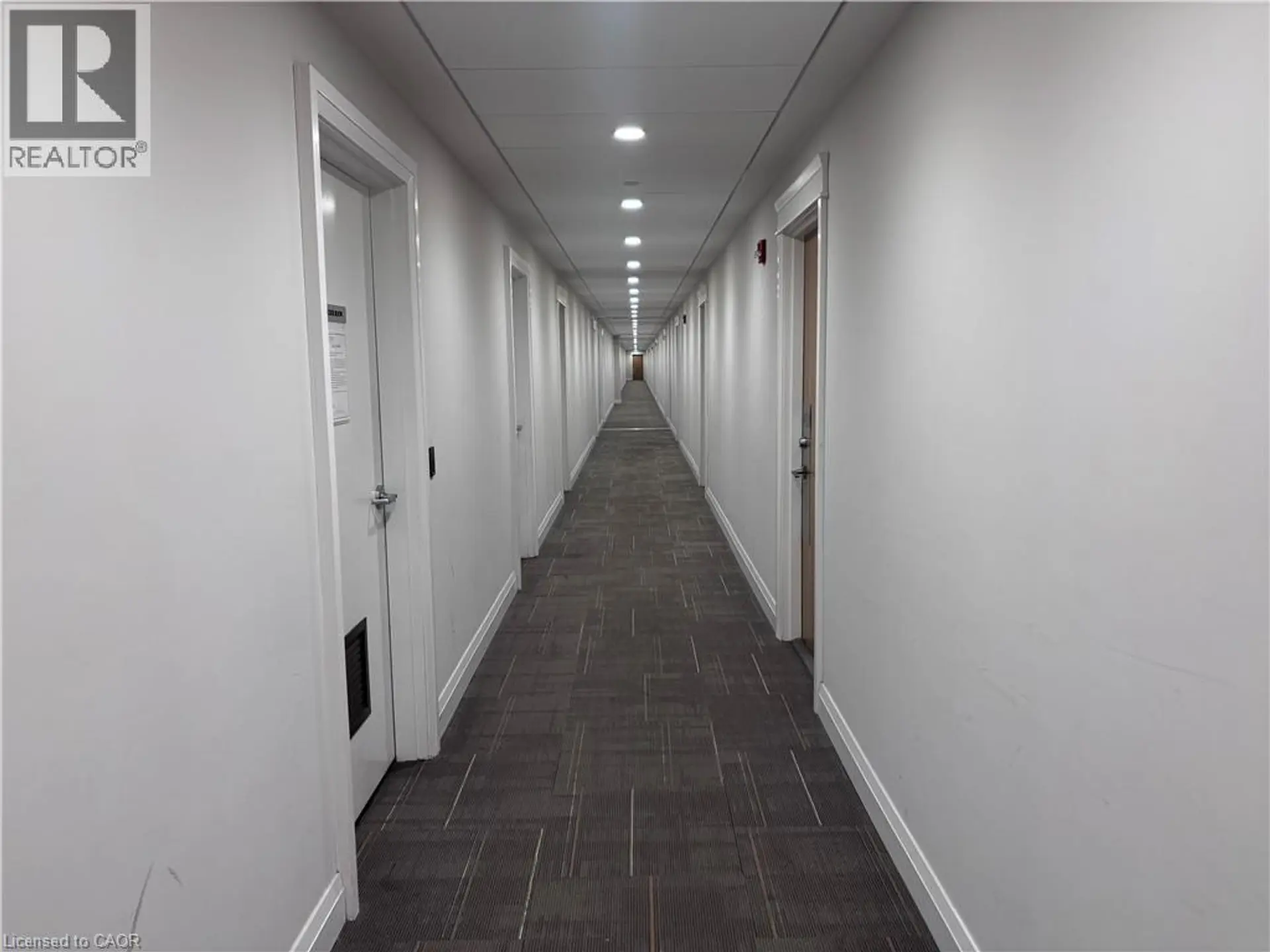 #417 128 GROVEWOOD Common - Image 18