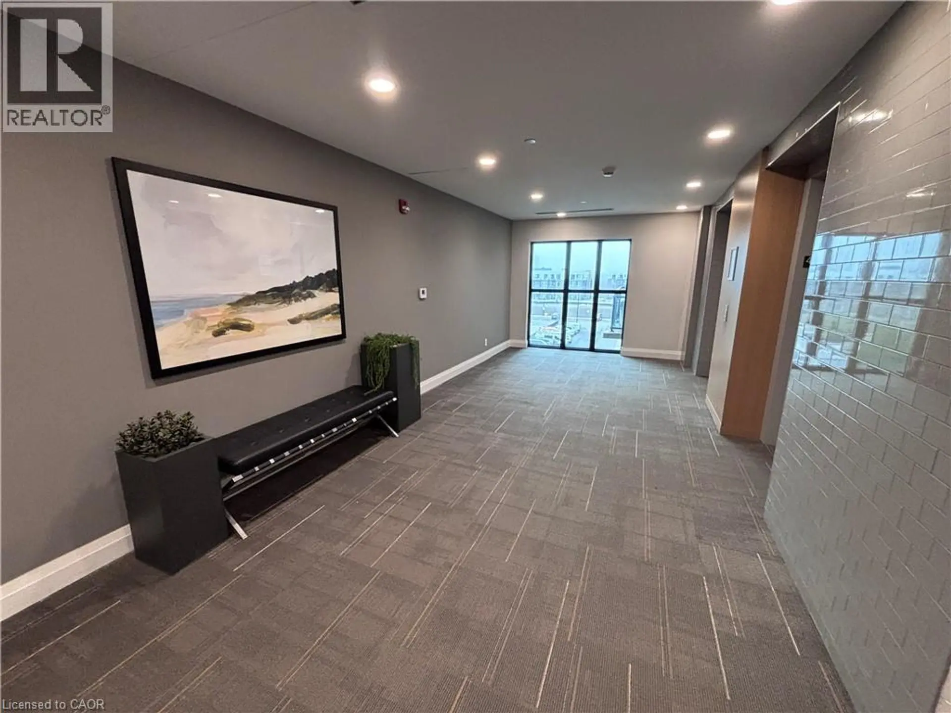 #417 128 GROVEWOOD Common - Image 19