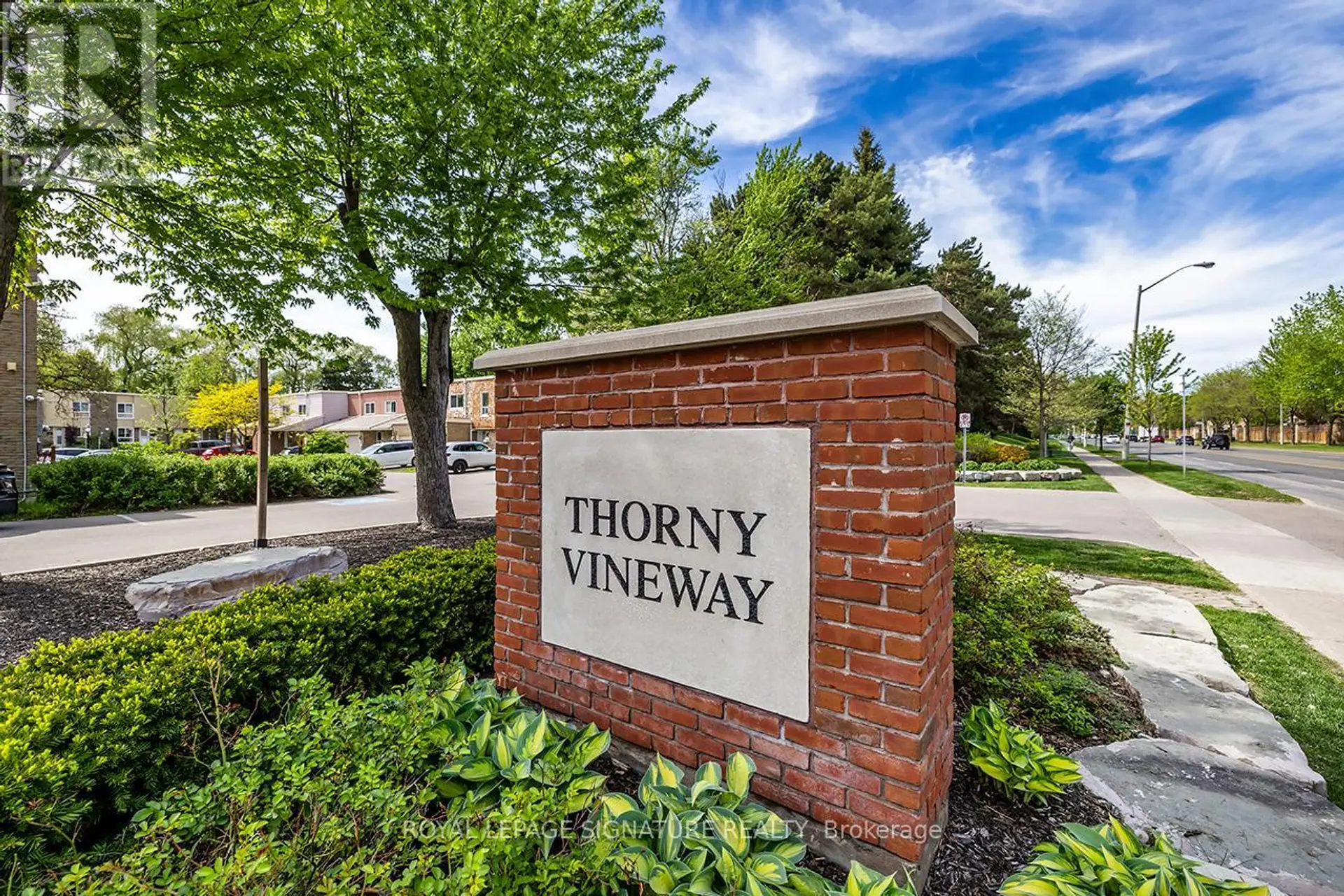 106 THORNY VINEWAY - Image 1