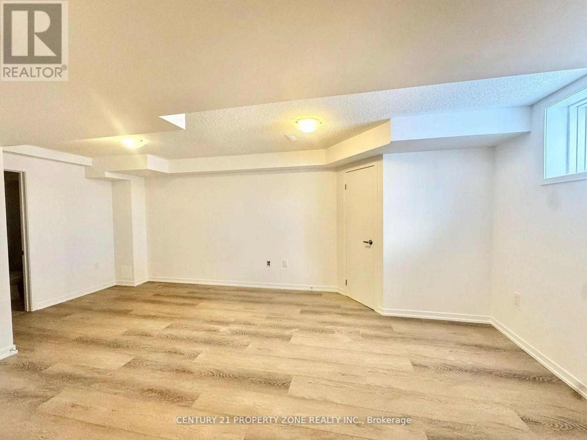 49 KINGBIRD COMMON - Image 14