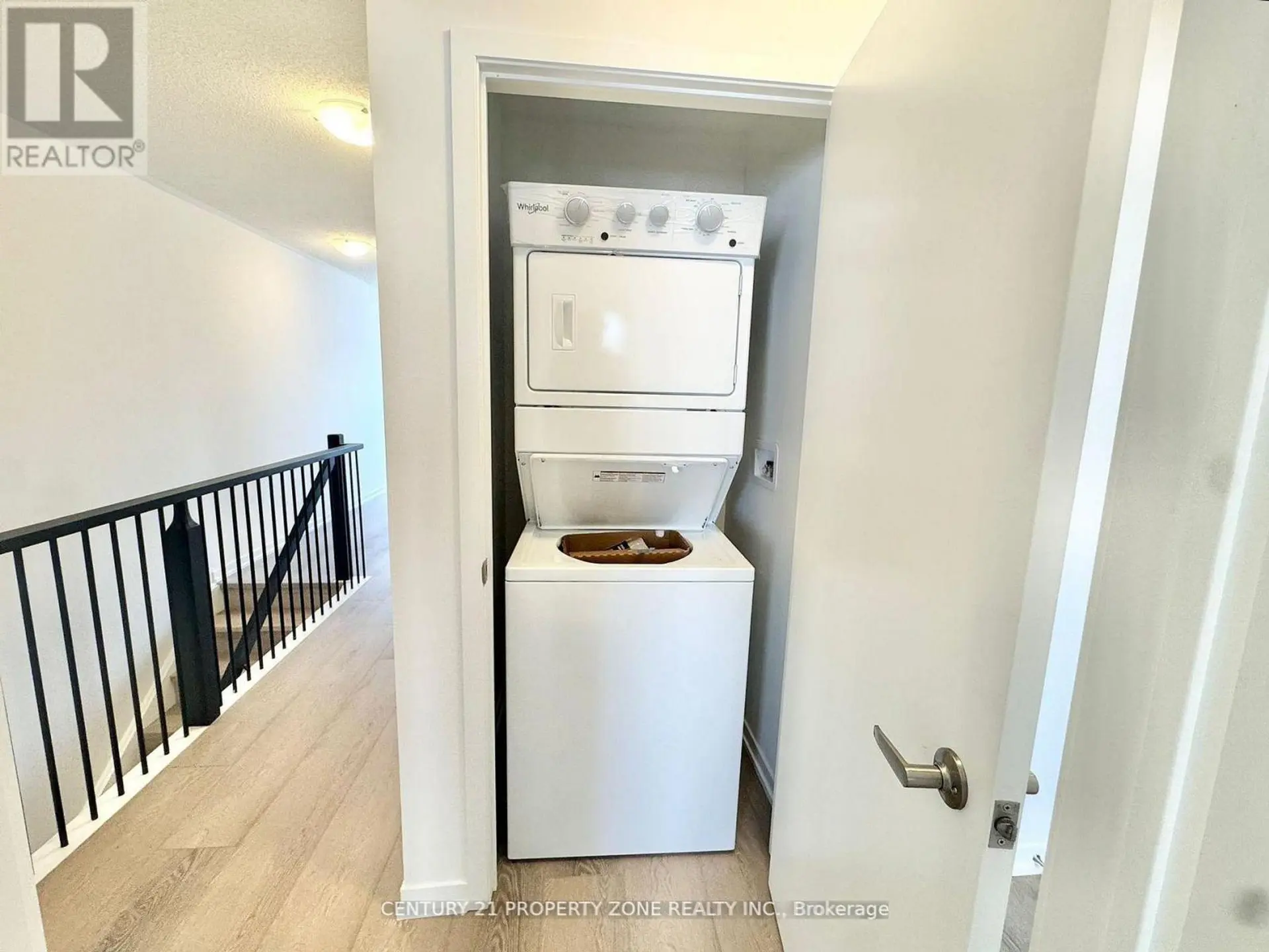 49 KINGBIRD COMMON - Image 18