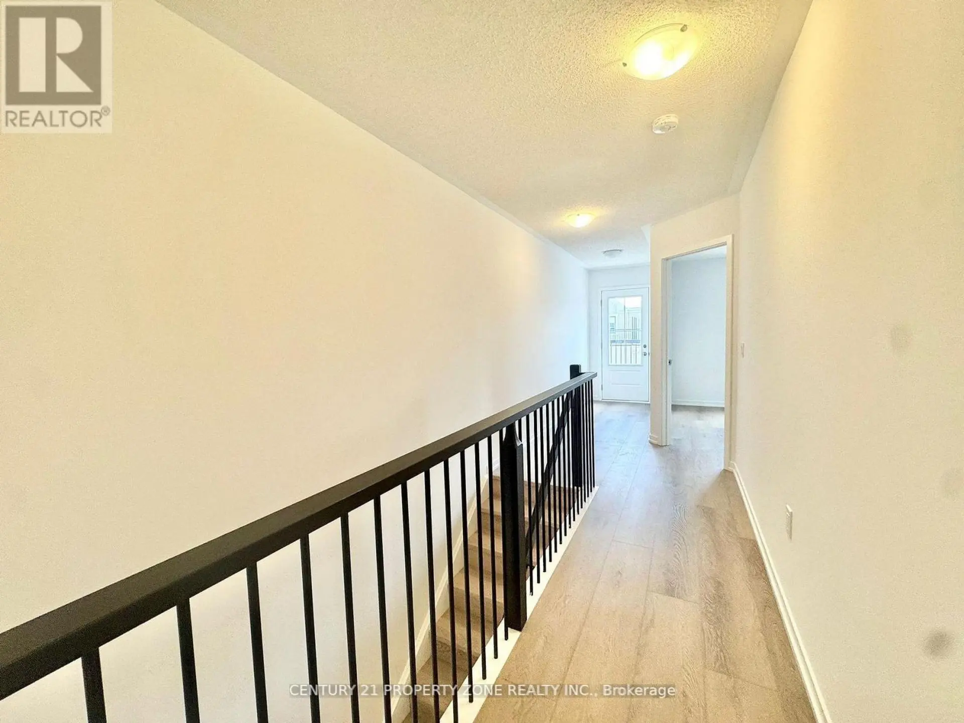 49 KINGBIRD COMMON - Image 5