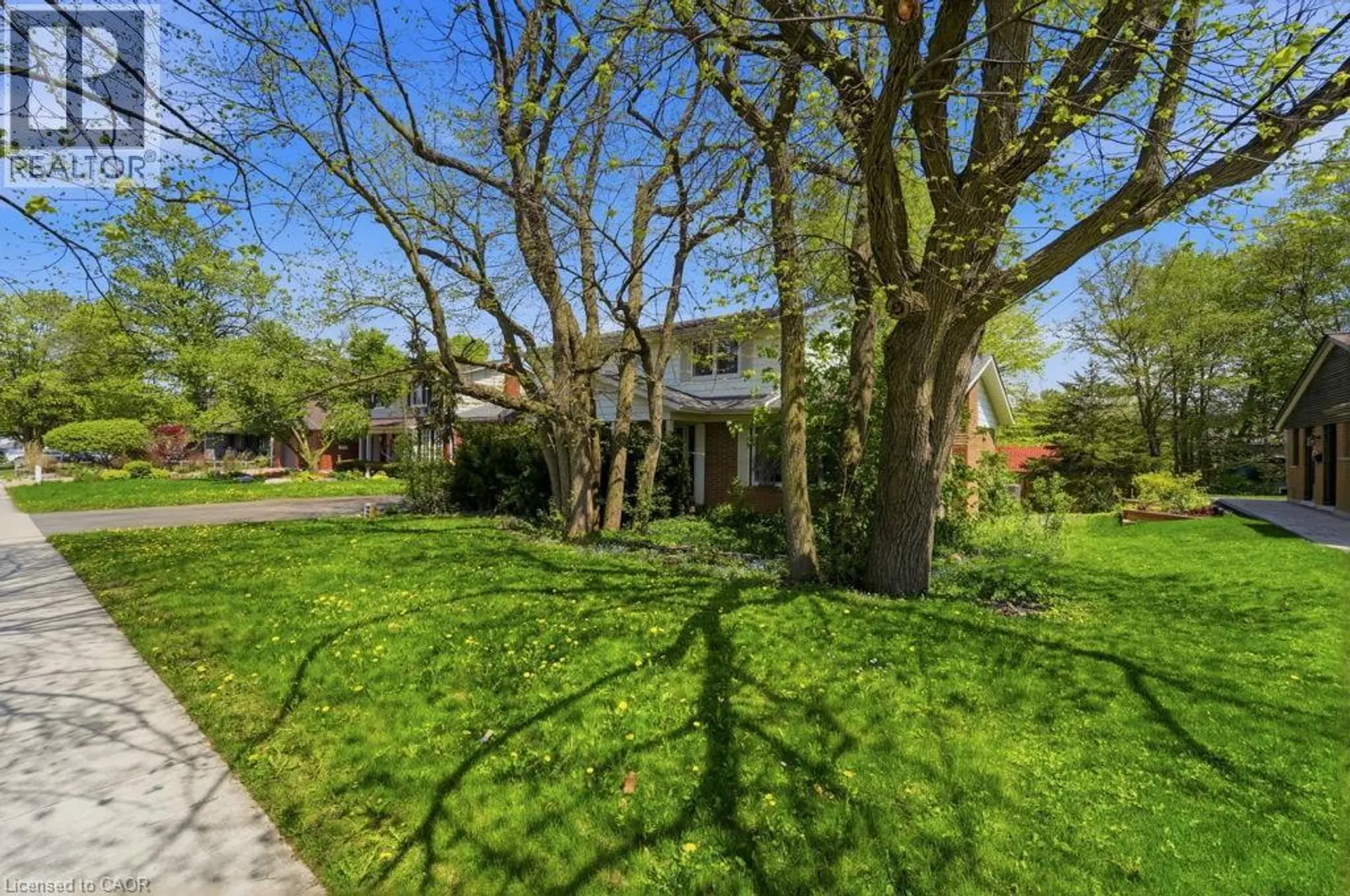 46 BIRCHCLIFF Avenue - Image 4
