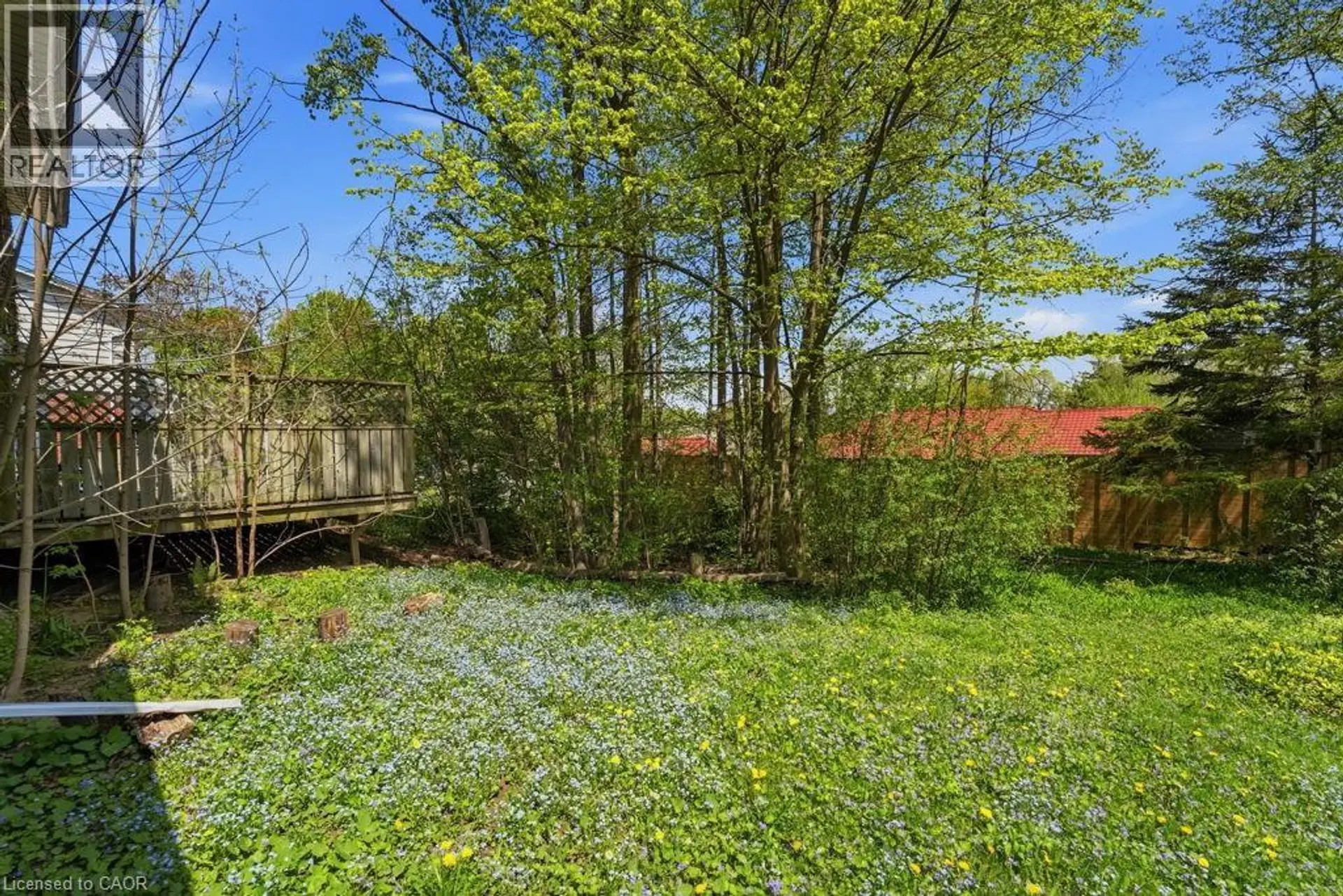 46 BIRCHCLIFF Avenue - Image 8