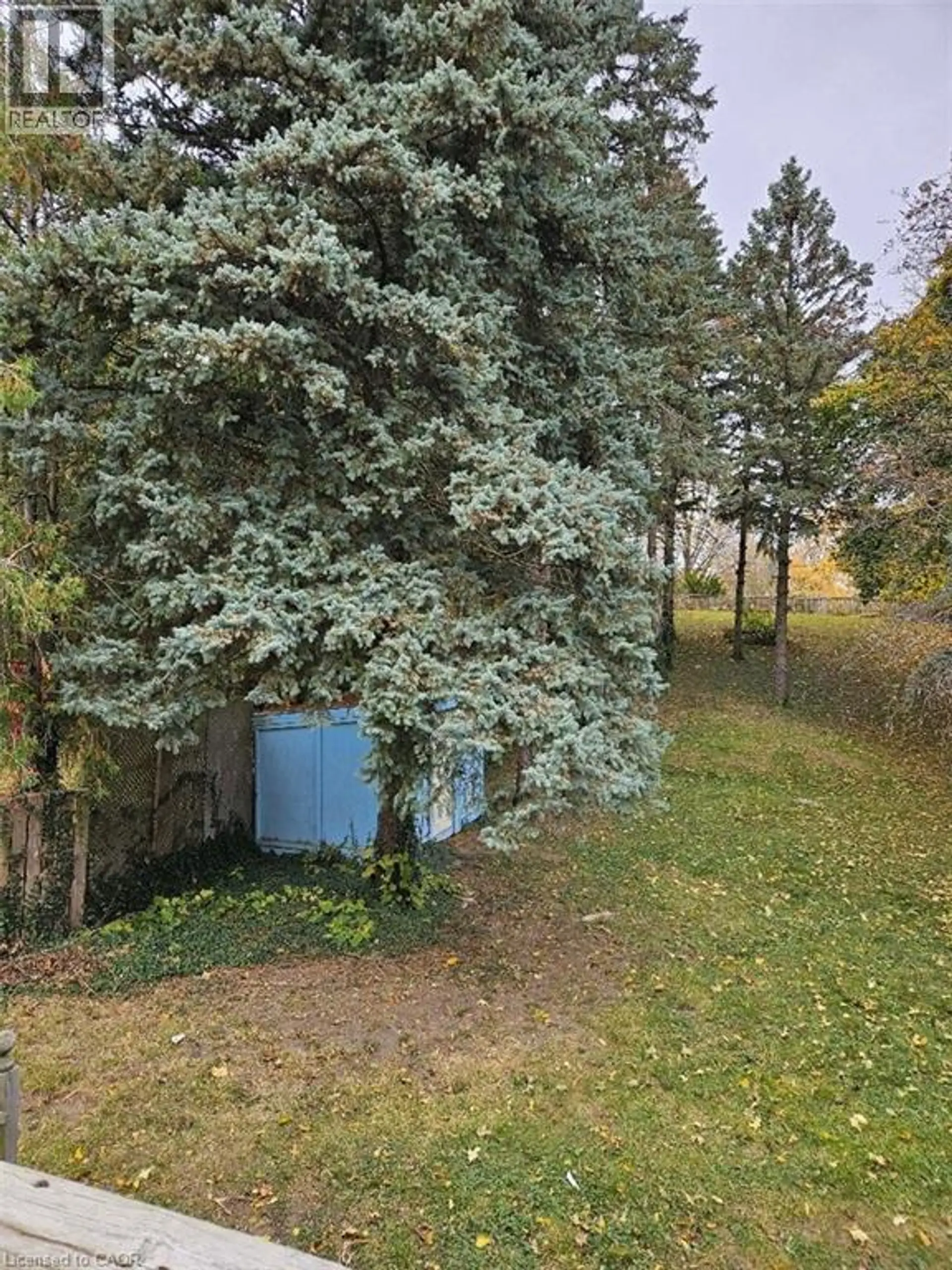 1154 QUEENS Boulevard - Image 3