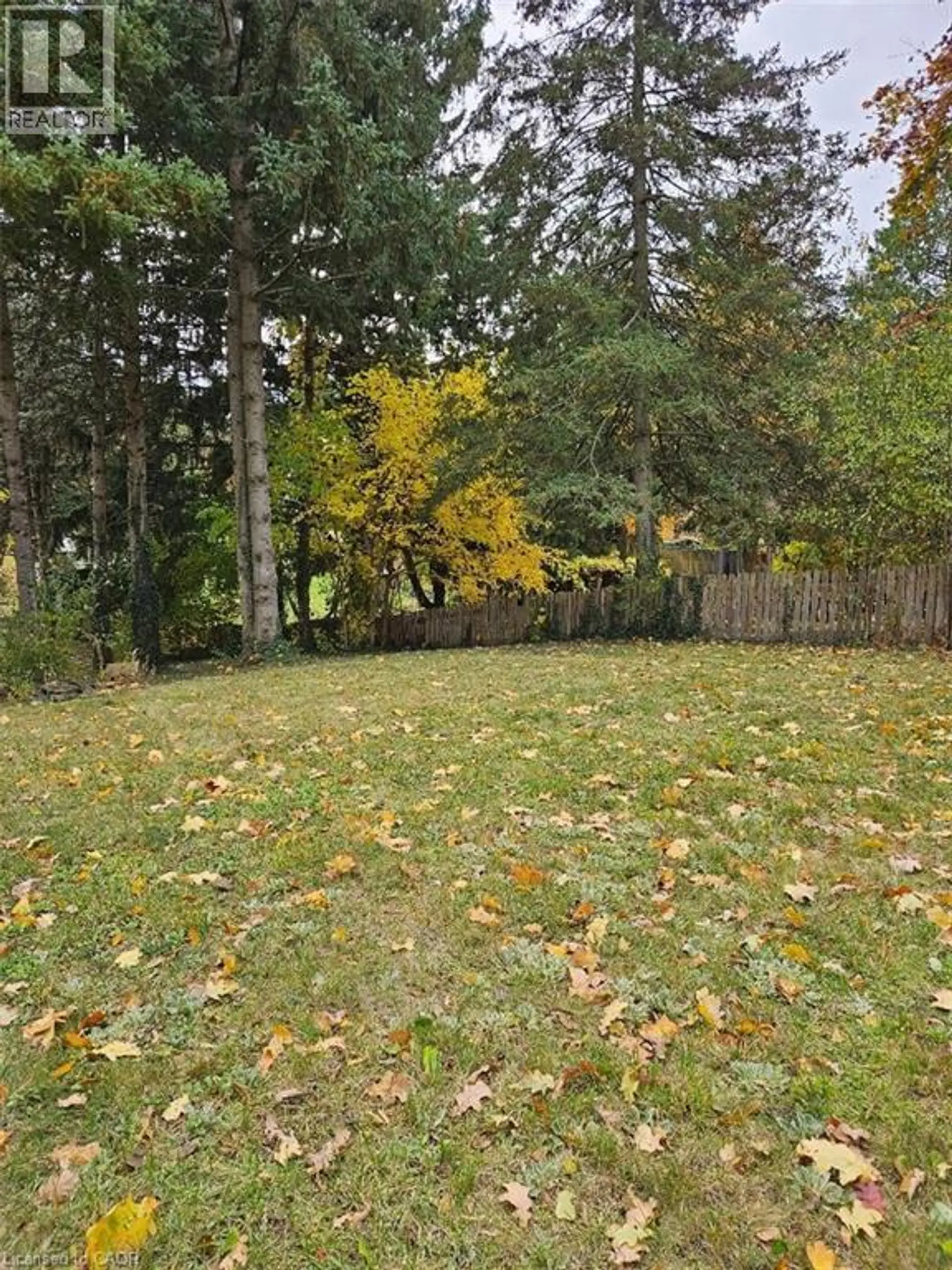 1154 QUEENS Boulevard - Image 5