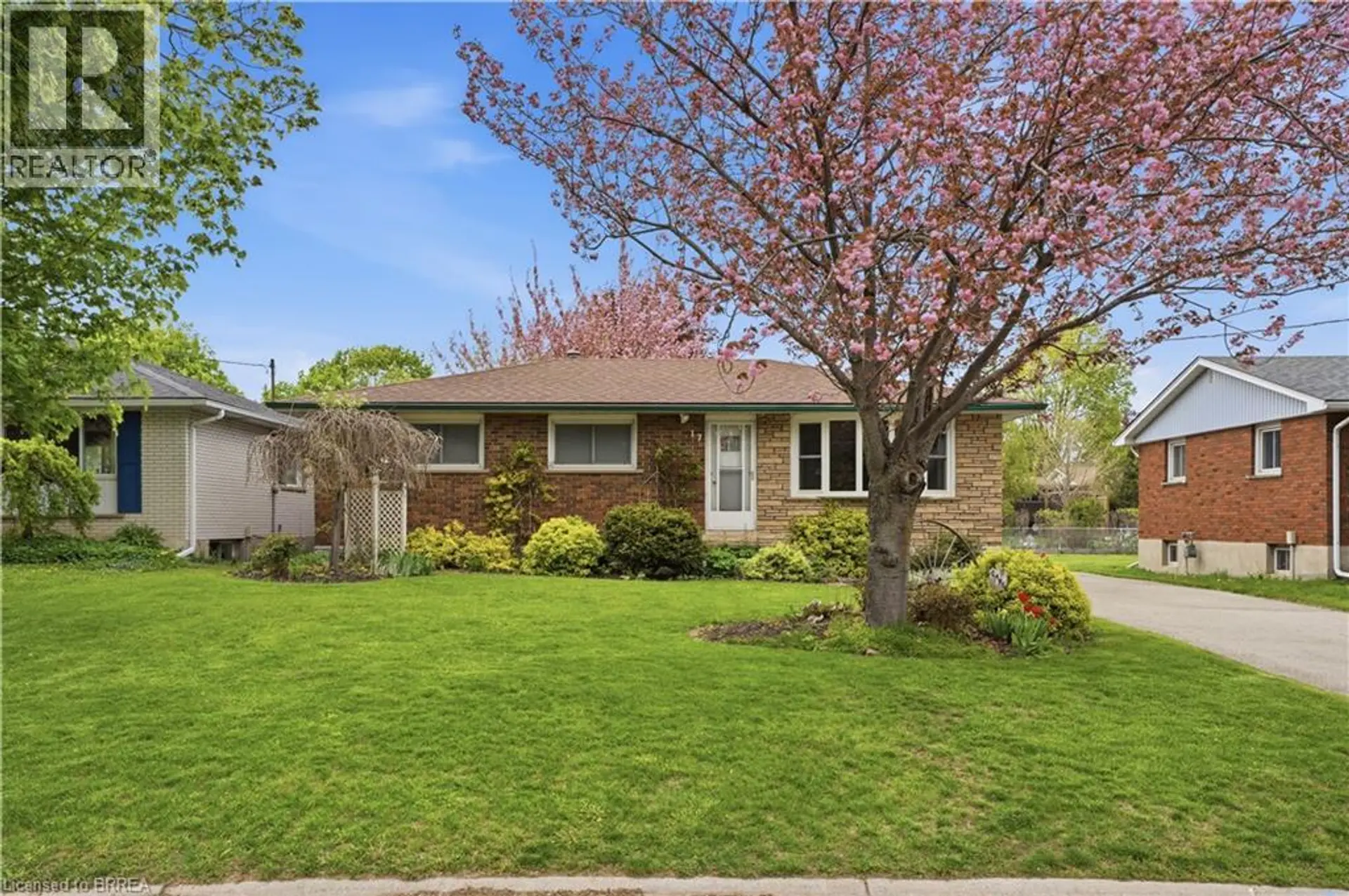 17 KATHLEEN Street - Image 2