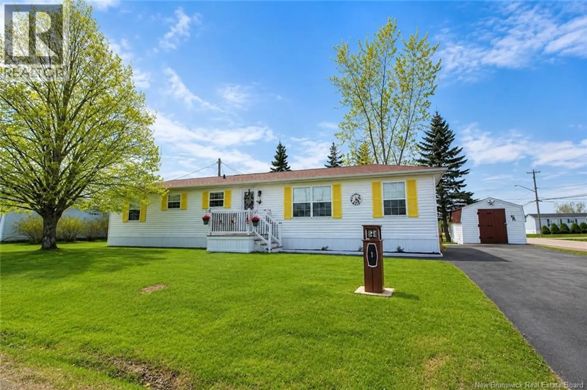 1 Jasper - Image 1