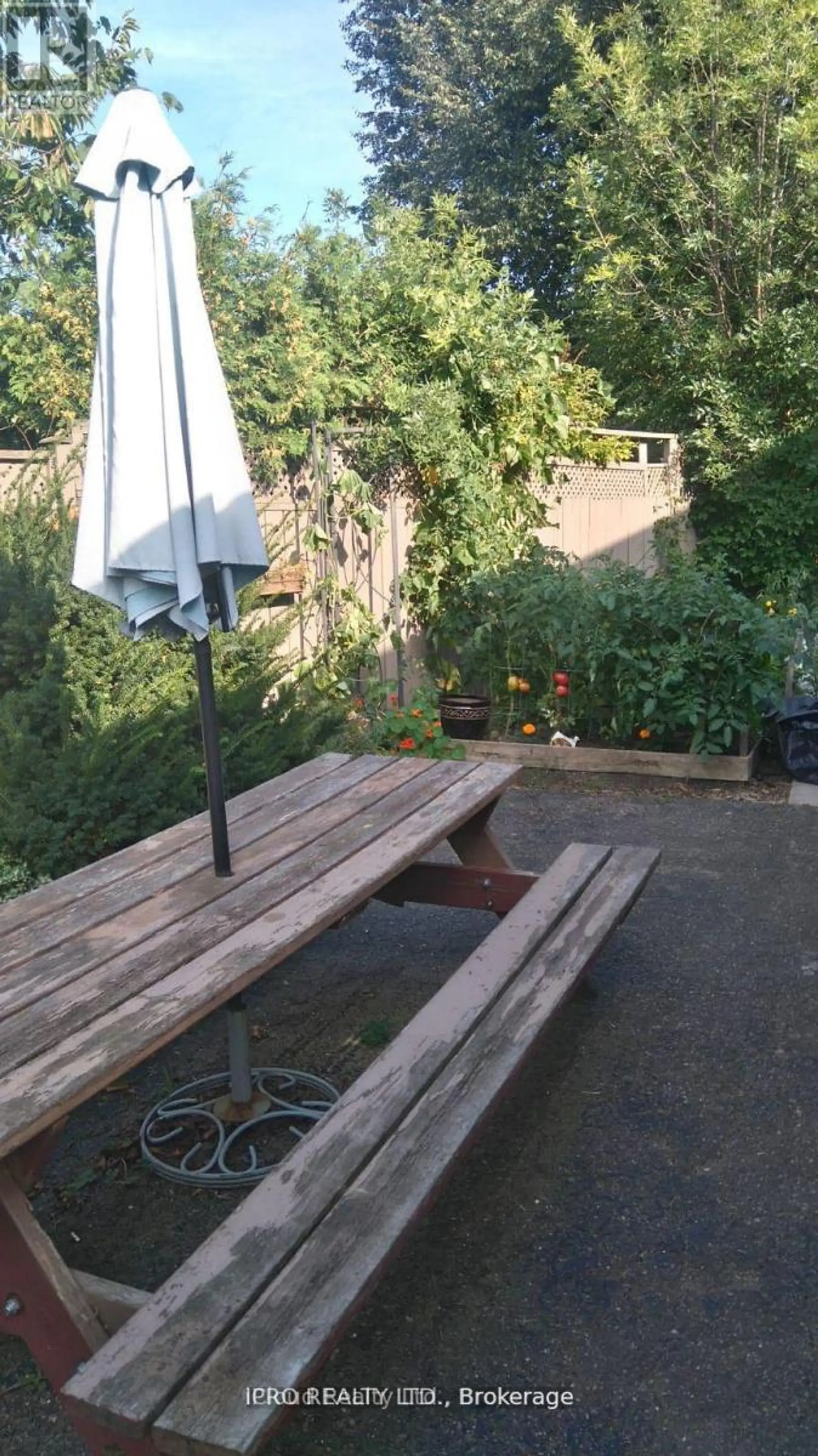 62 AMBLESIDE DRIVE - Image 11