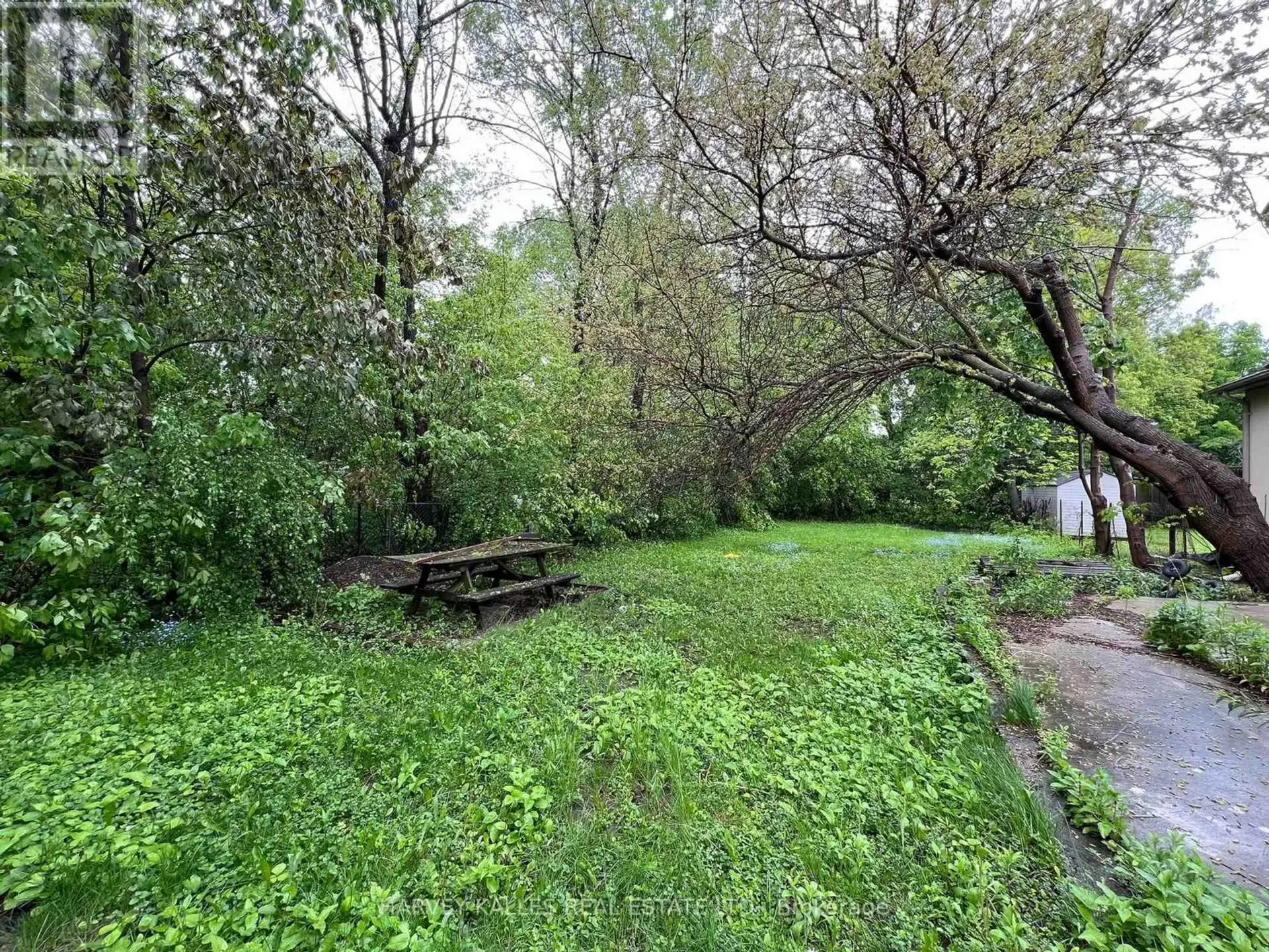 112 ALLINGHAM GARDENS - Image 3