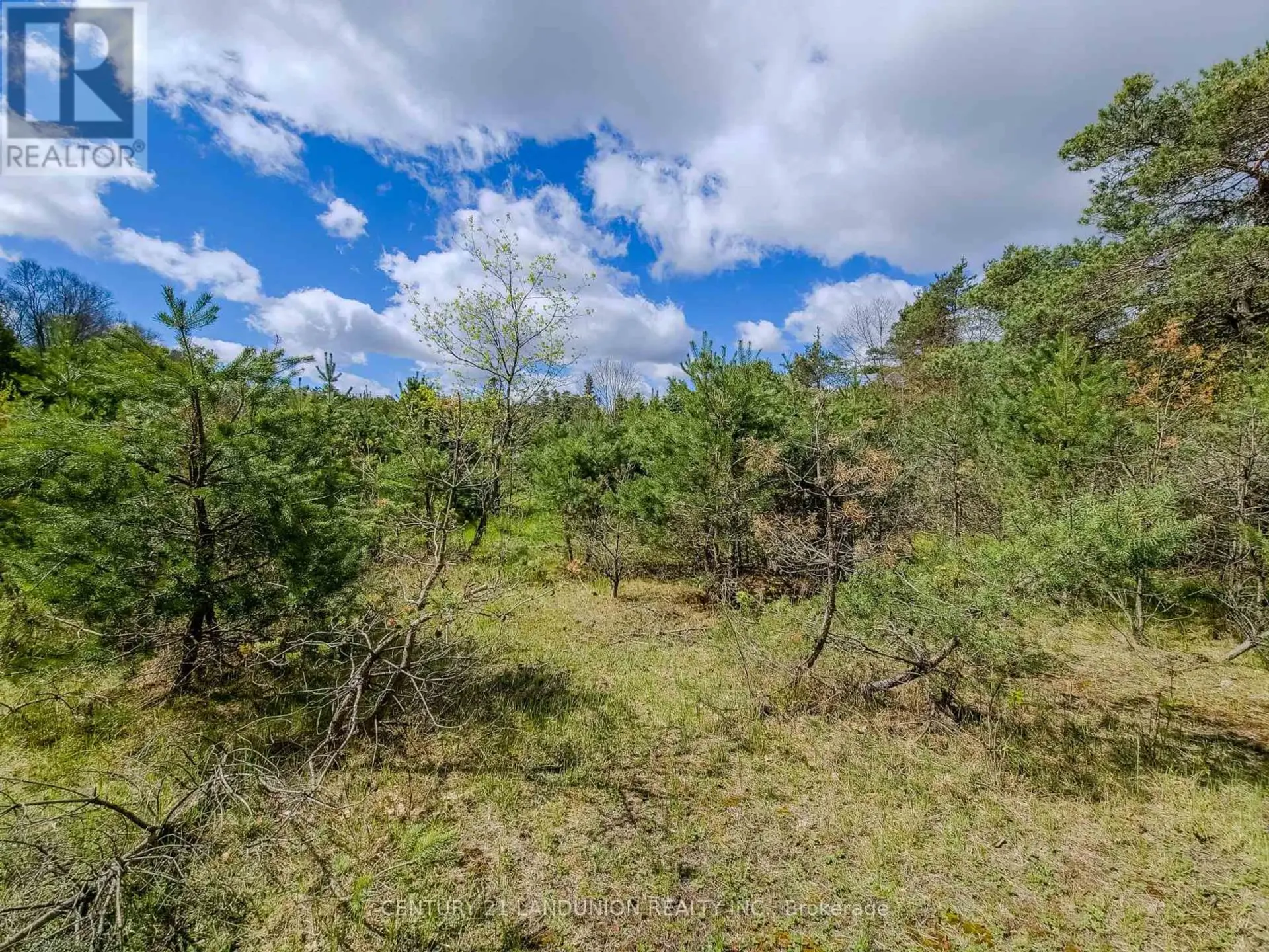 4192 VIVIAN ROAD - Image 9