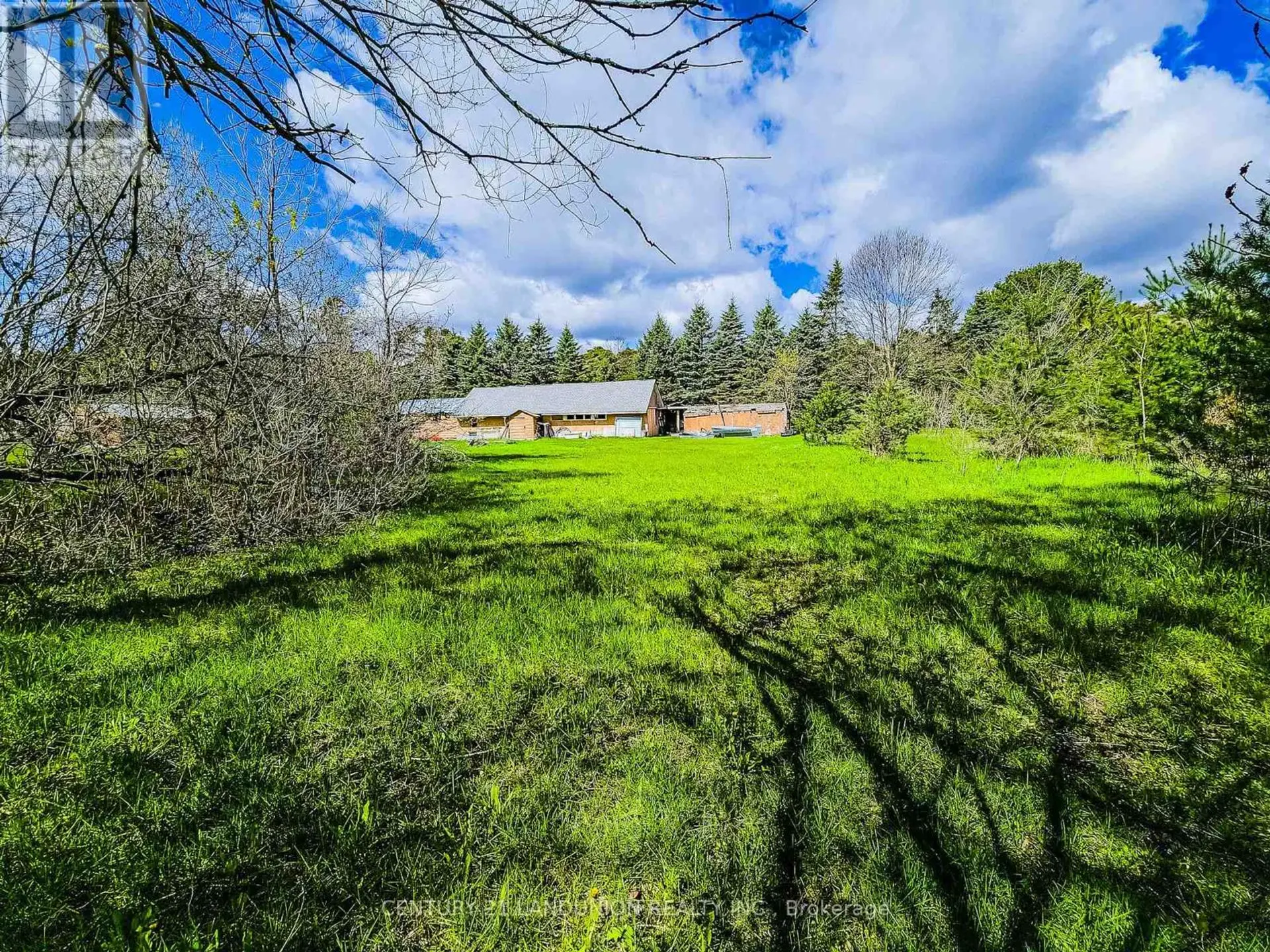 4192 VIVIAN ROAD - Image 6