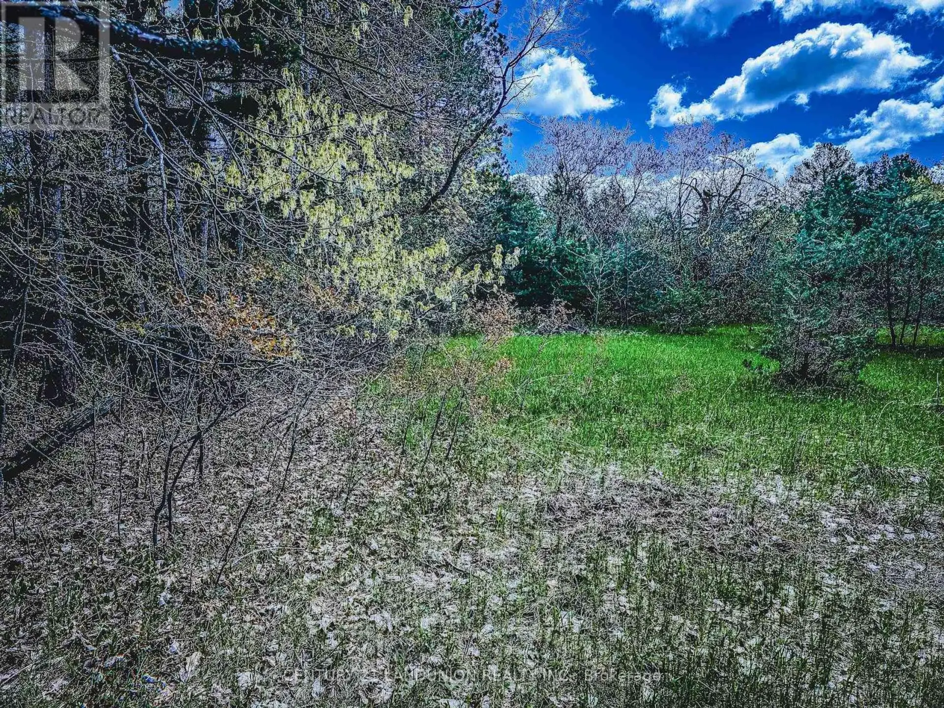 4192 VIVIAN ROAD - Image 10