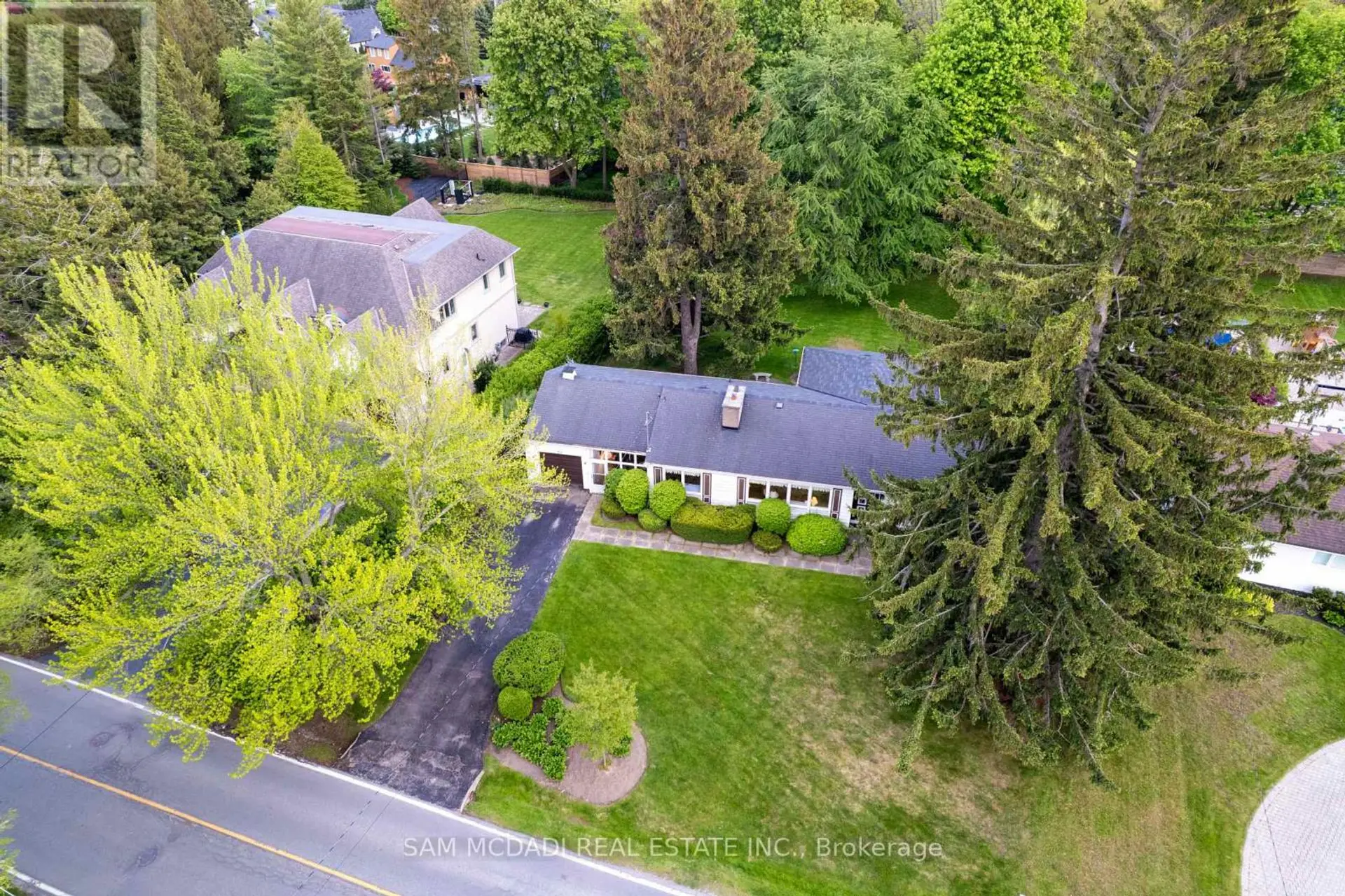512 BOB O LINK - Image 9