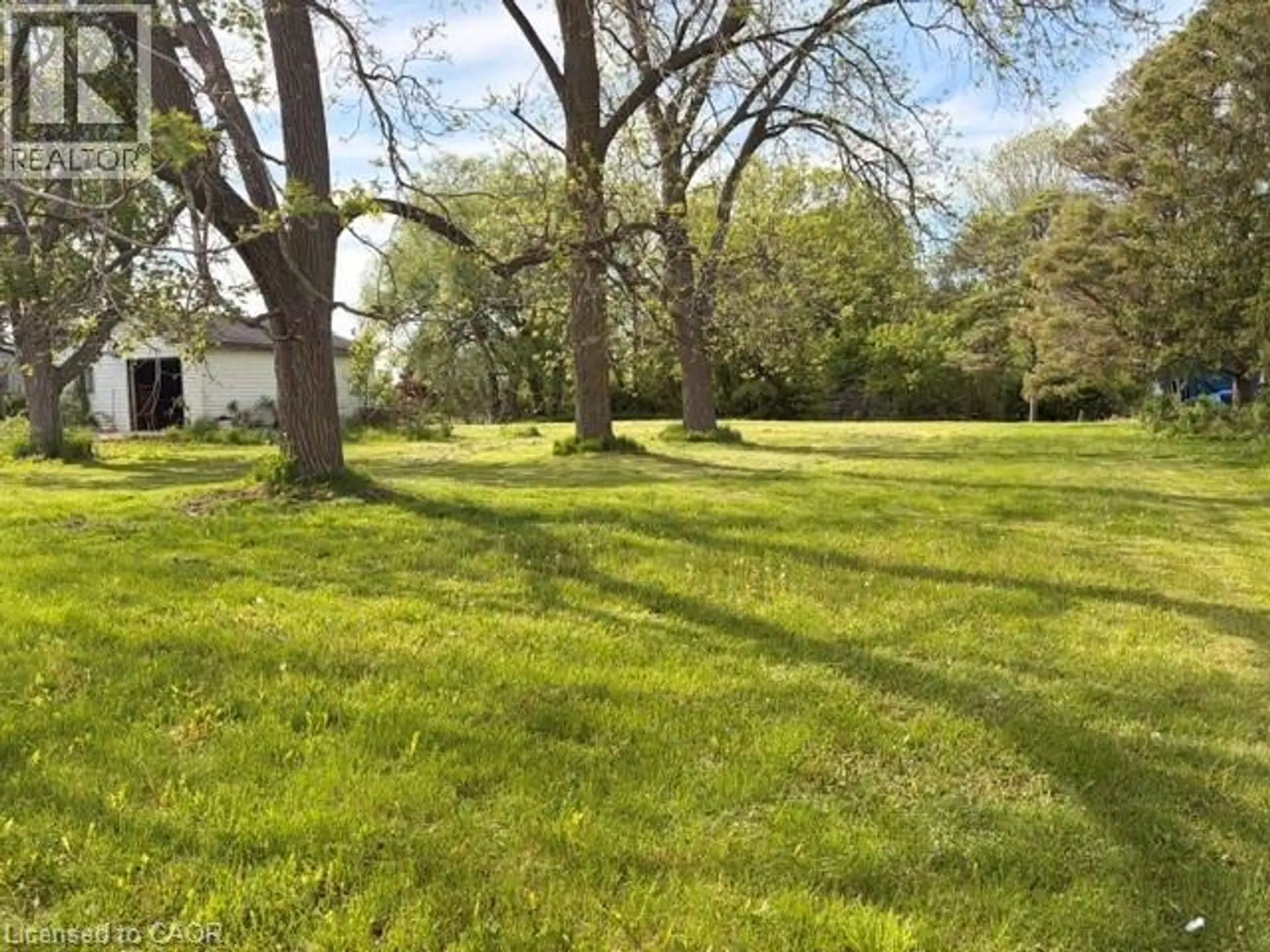 37 YOUNG Street - Image 1