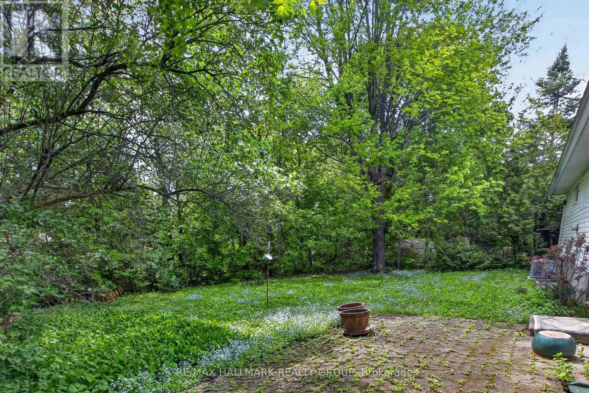 41 PARKMOUNT CRESCENT - Image 6