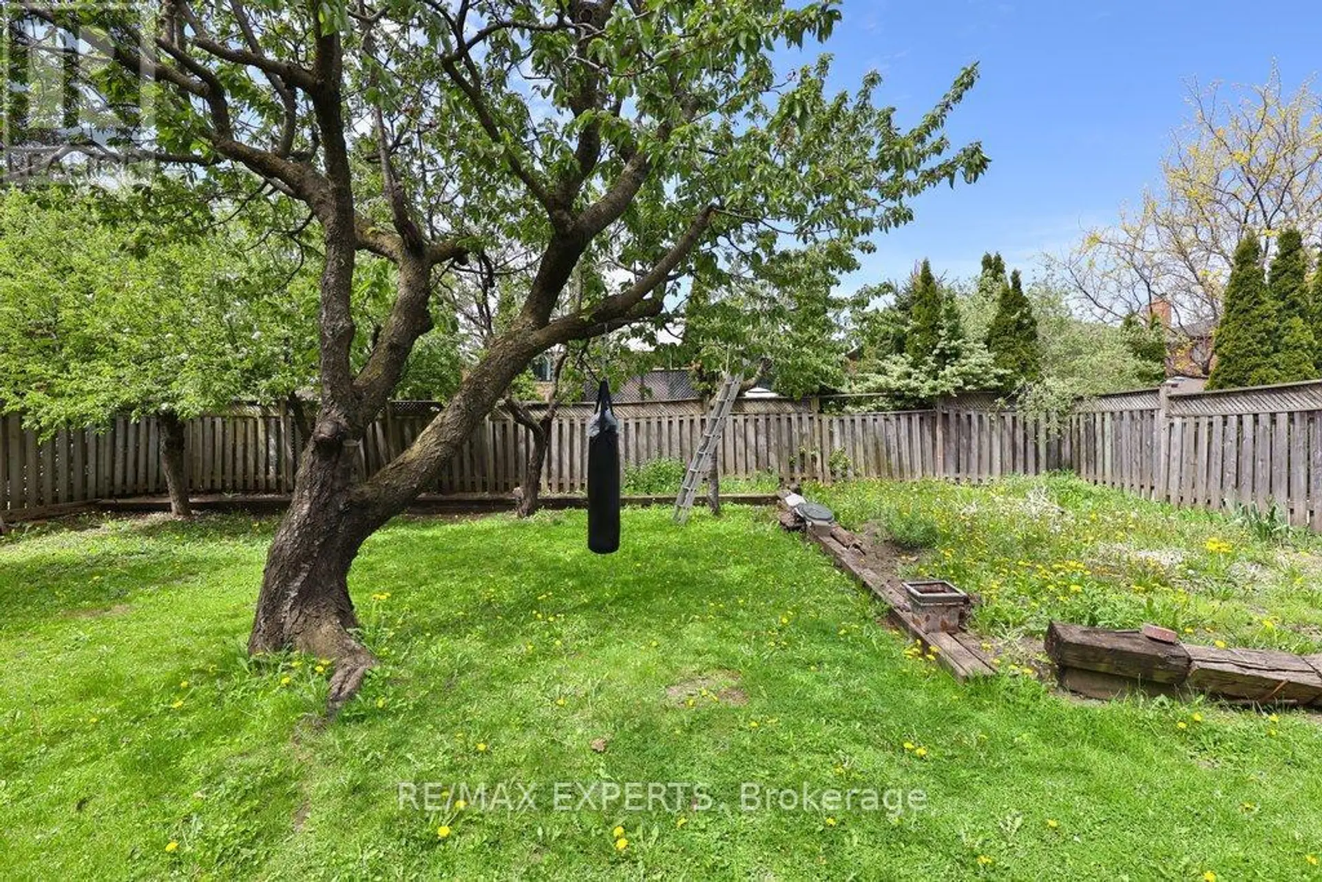 38 COLTON CRESCENT S - Image 4