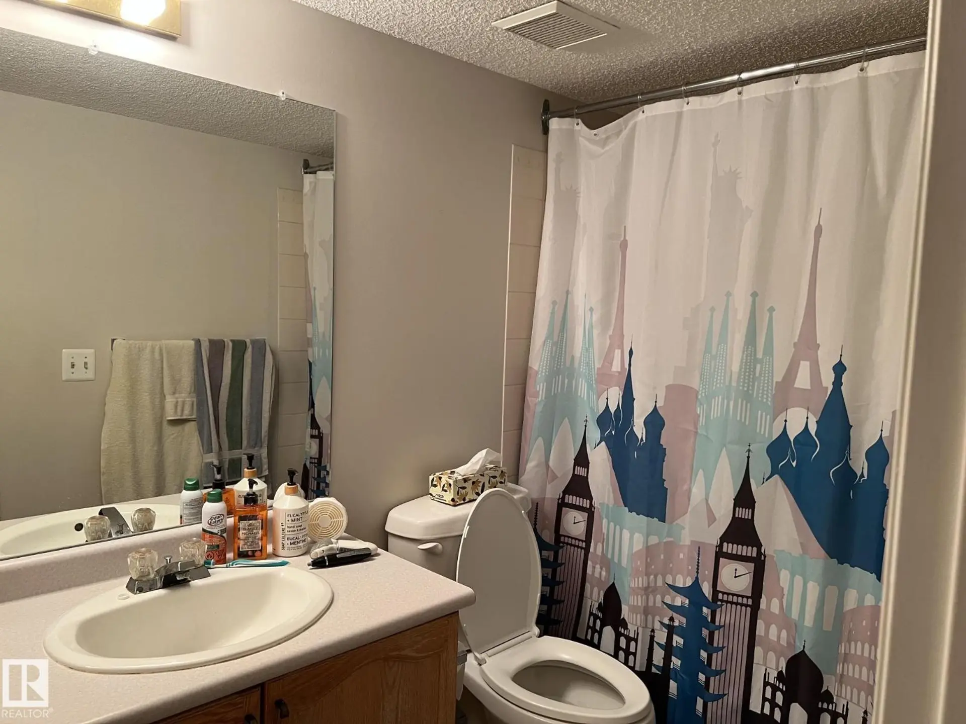 #207 18012 95 AV NW - Image 11