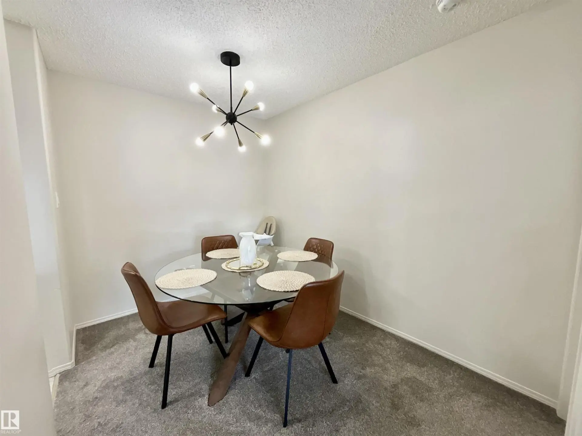 #217 16303 95 ST NW - Image 5