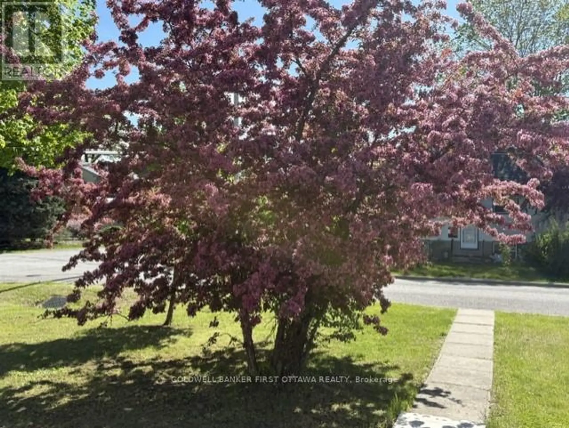 185 COMPTON AVENUE - Image 8