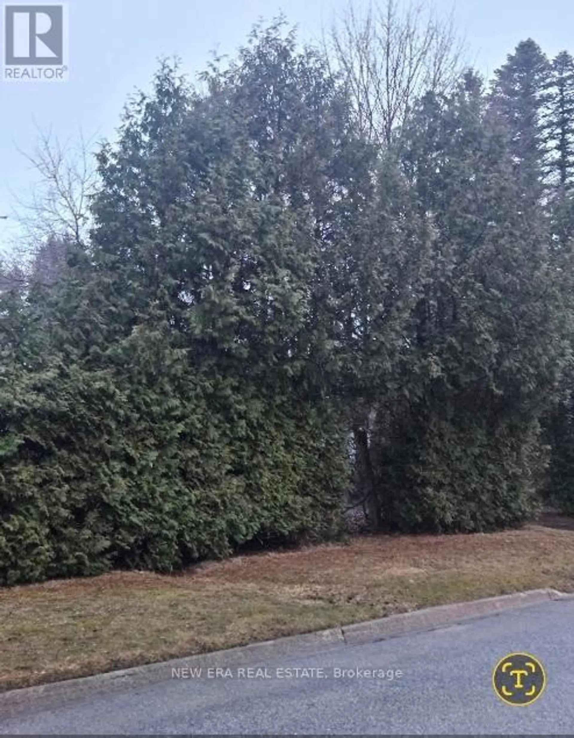 91 LILLY STREET W - Image 3