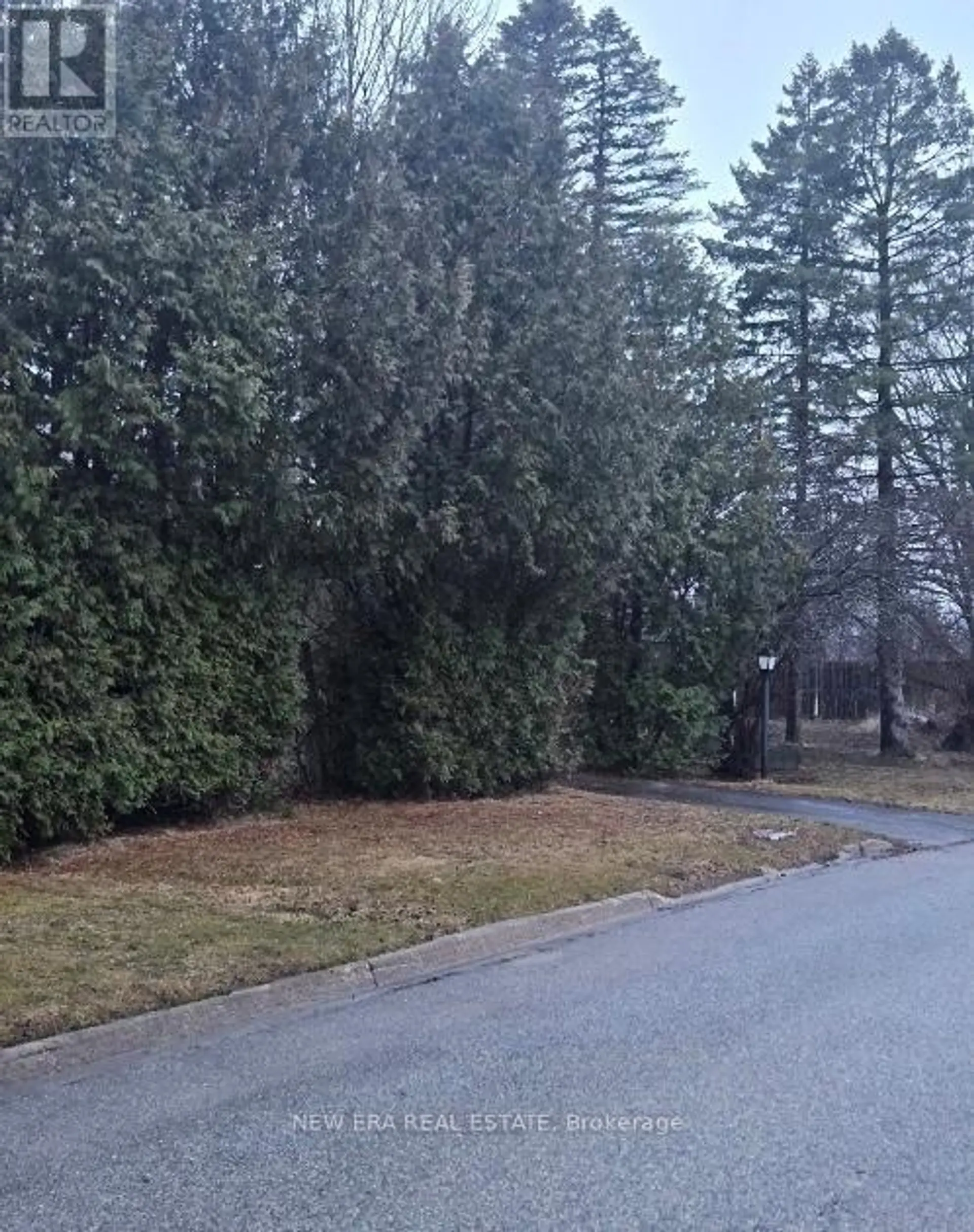 91 LILLY STREET W - Image 4