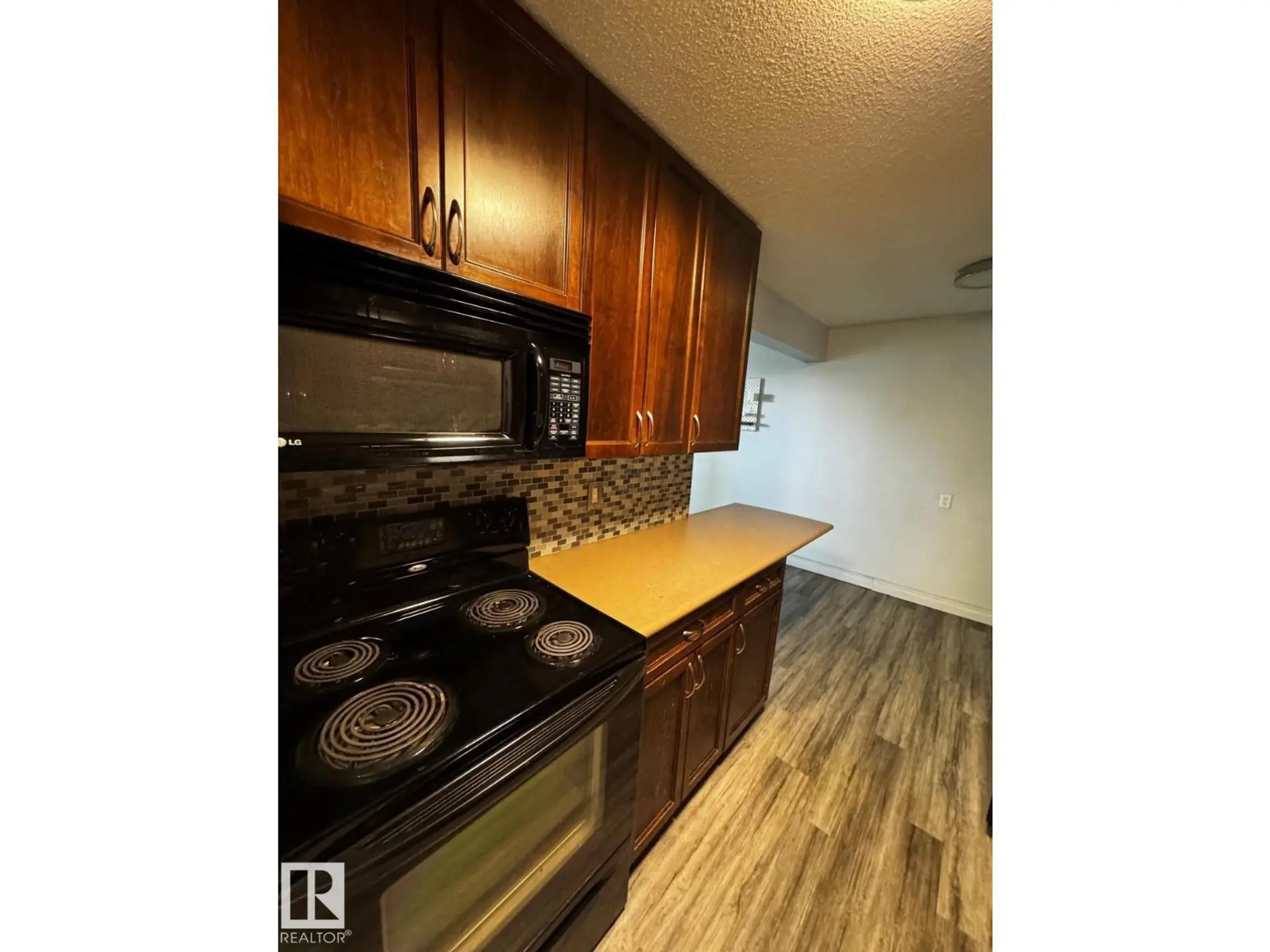 #203 10415 93 ST NW - Image 7
