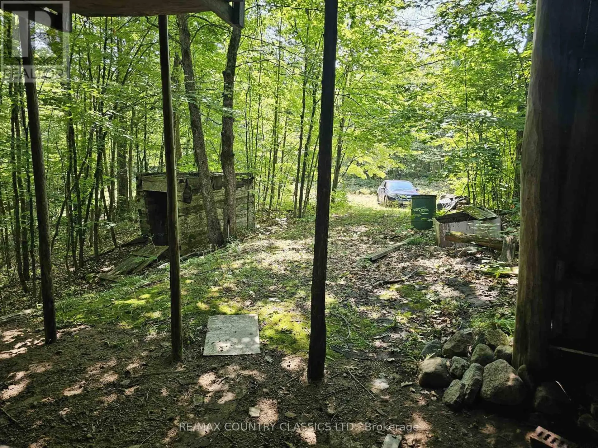388 O'GRADY SETTLEMENT ROAD - Image 18