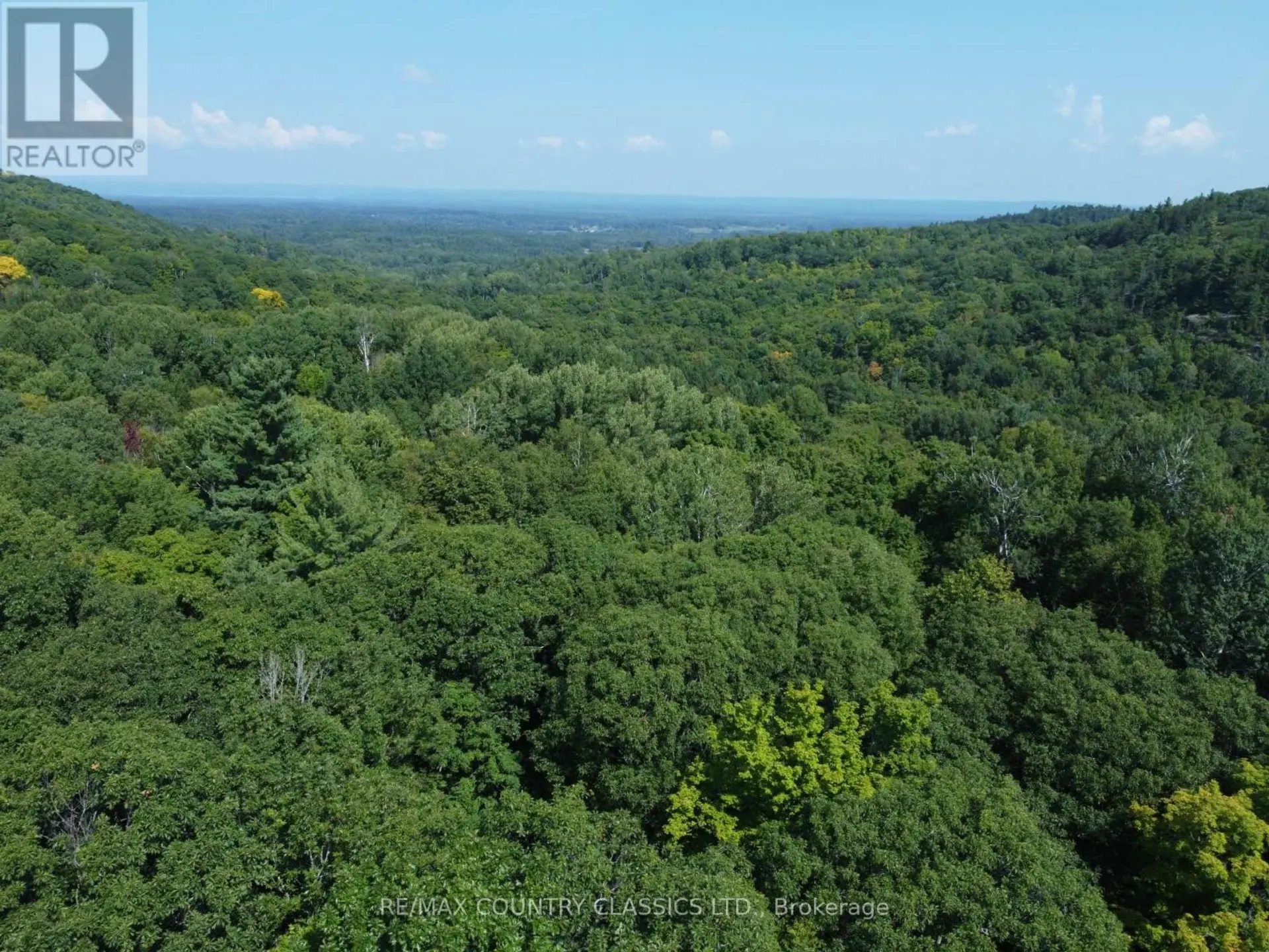 388 O'GRADY SETTLEMENT ROAD - Image 4