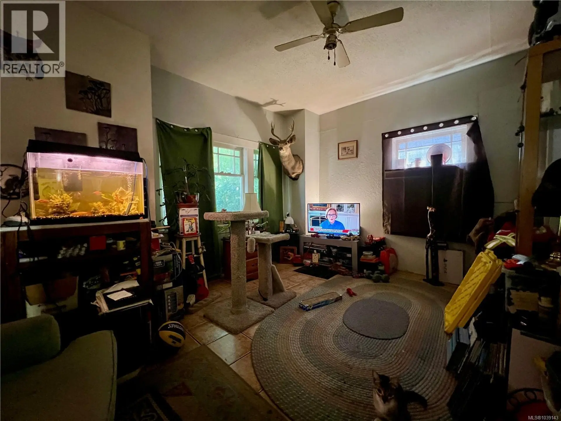 374 Nicol St - Image 13