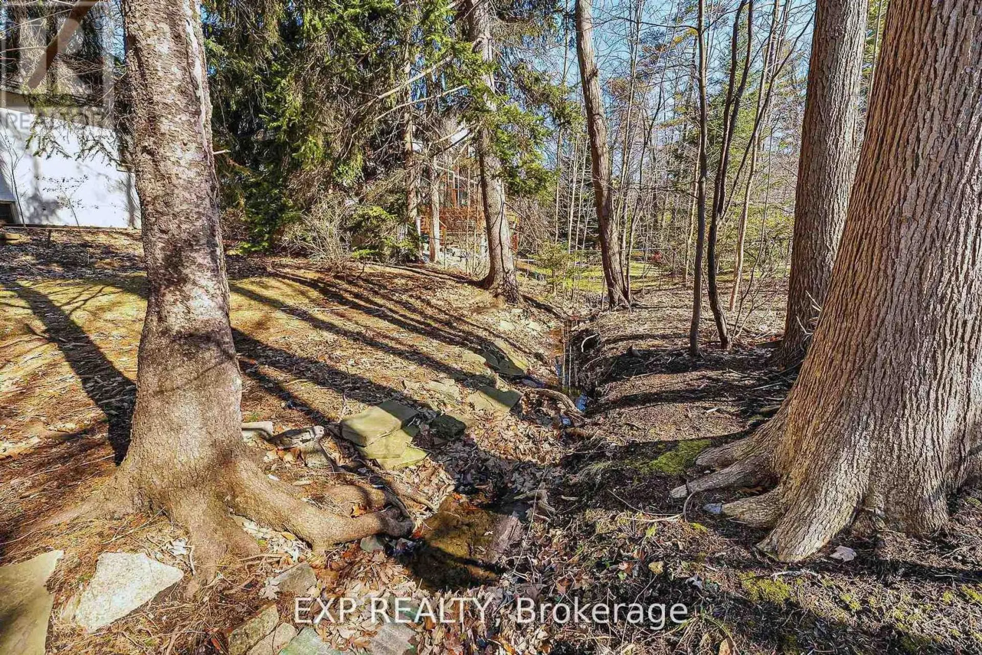 1252 MONA ROAD - Image 9