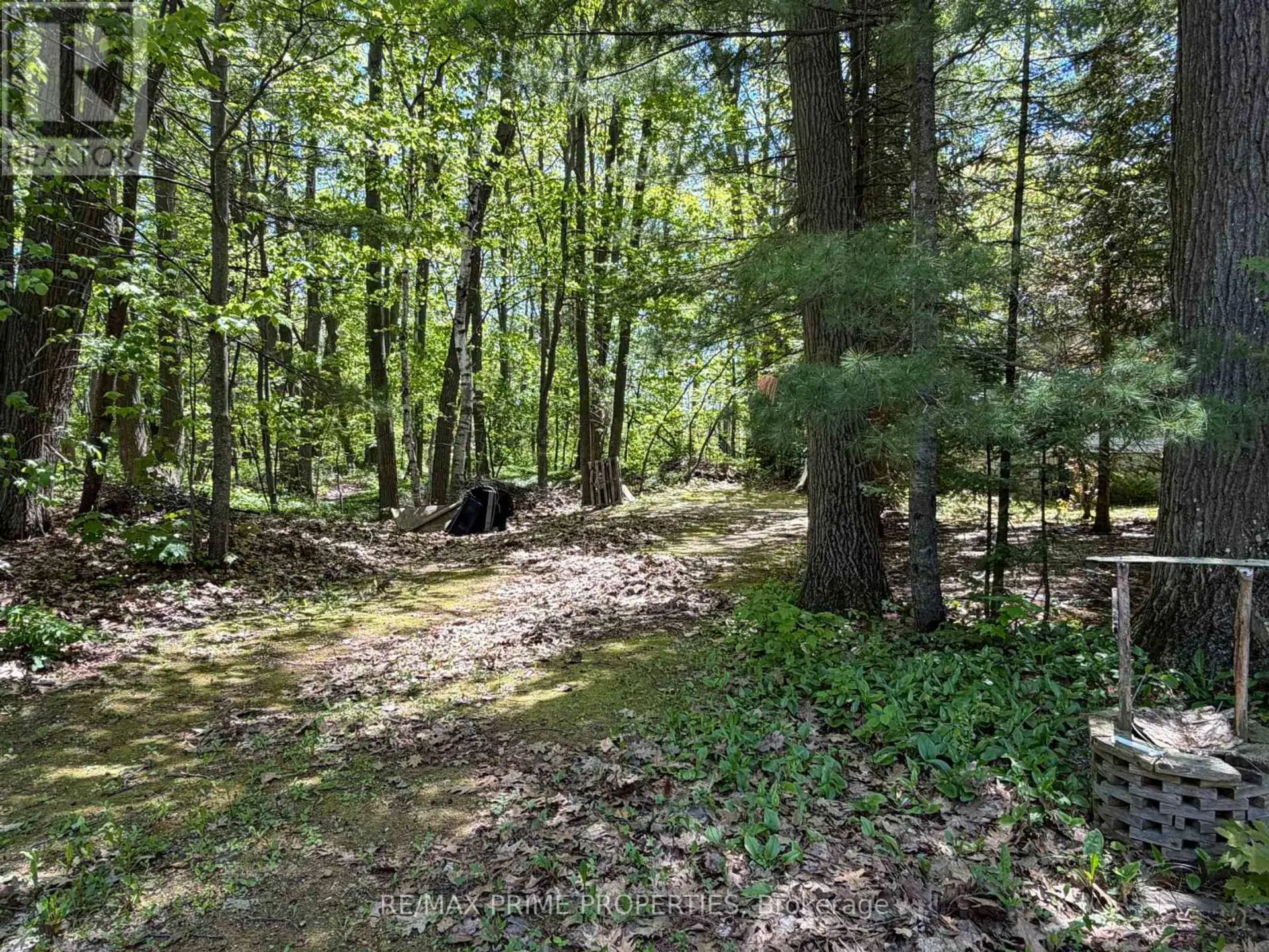 187 FREDERICK DRIVE - Image 7