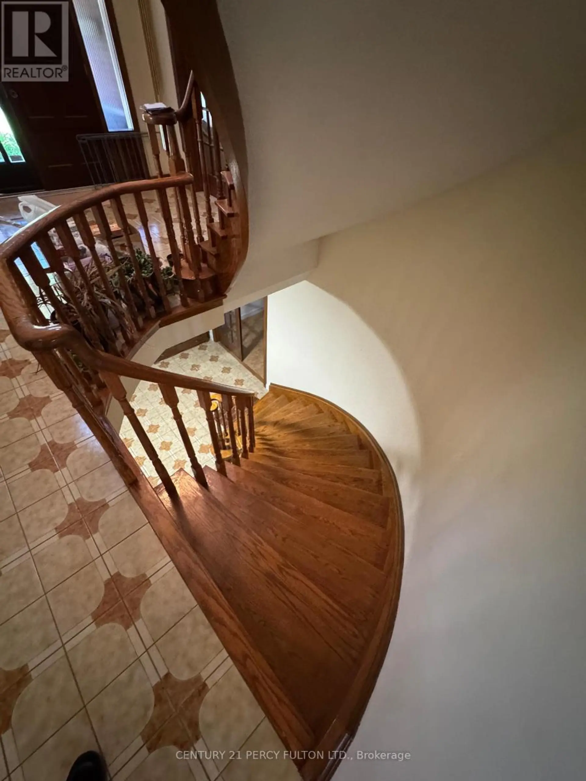 29 ERNEST AVENUE - Image 4