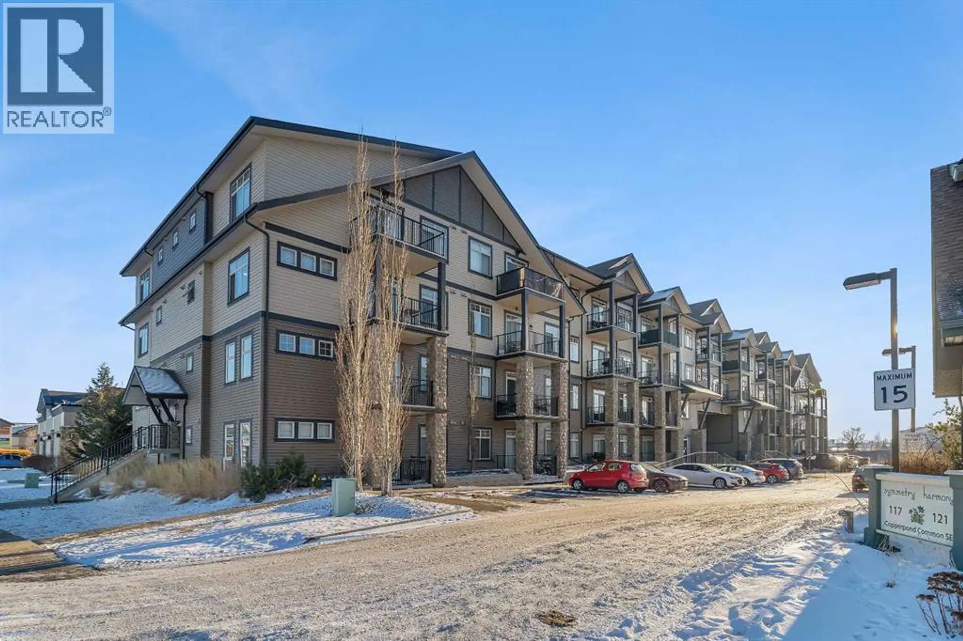 #312 117 Copperpond Common - Image 2