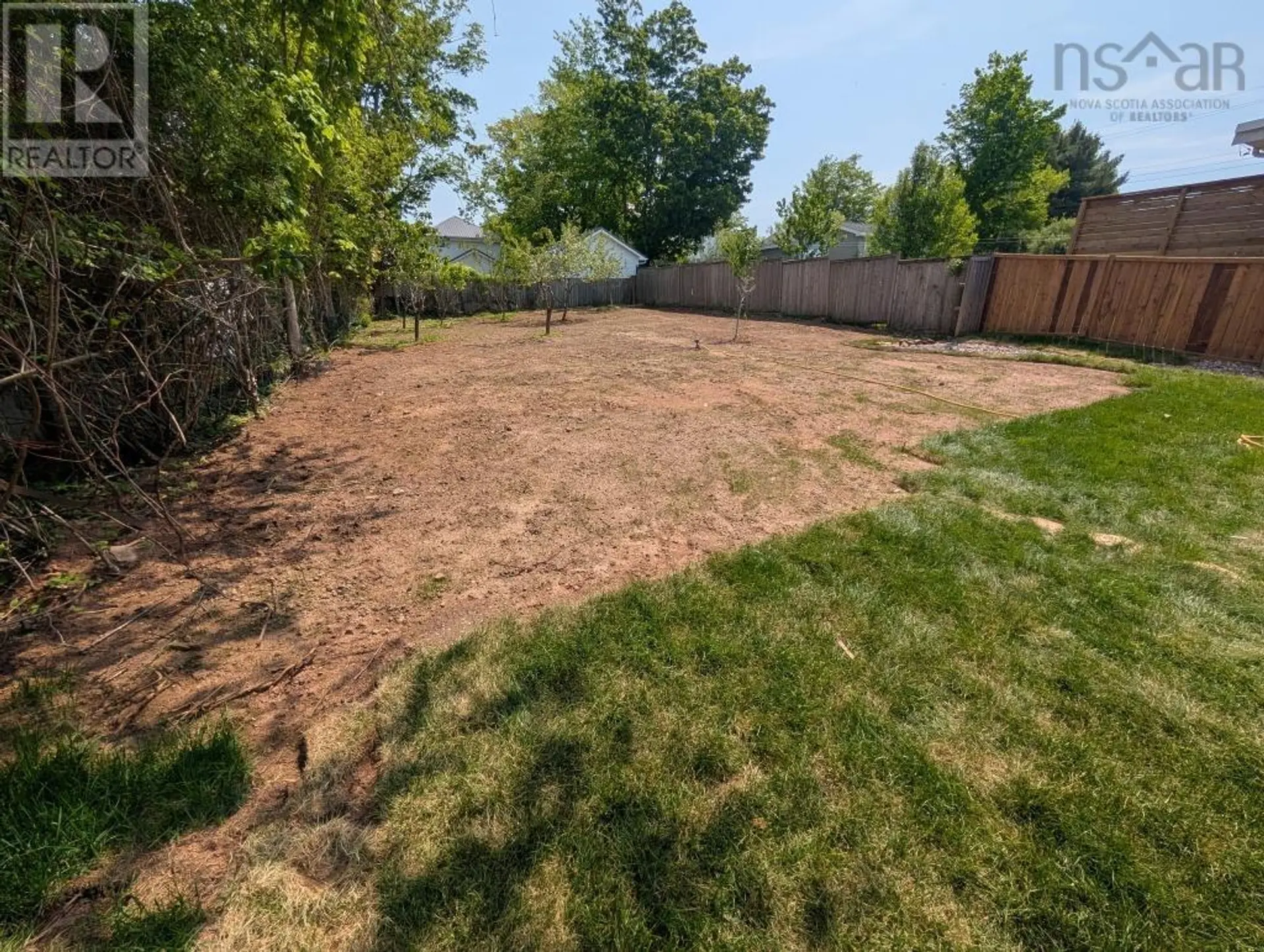 55 Archibald St - Image 15